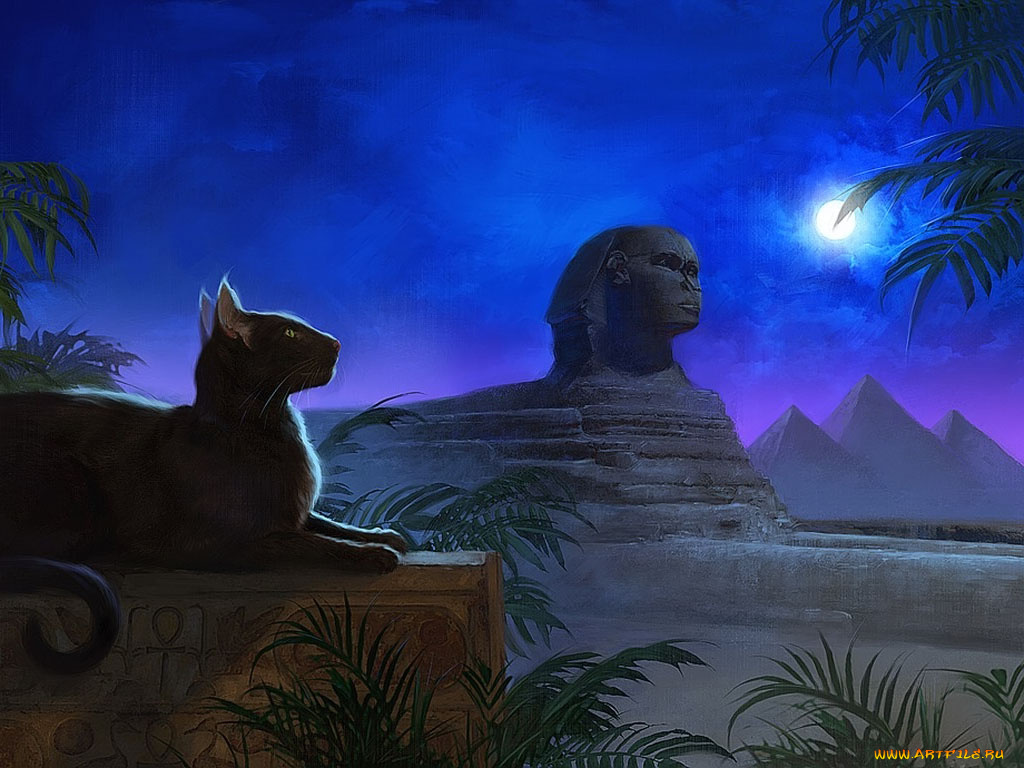 роберт, папп, рисованные, robert, papp