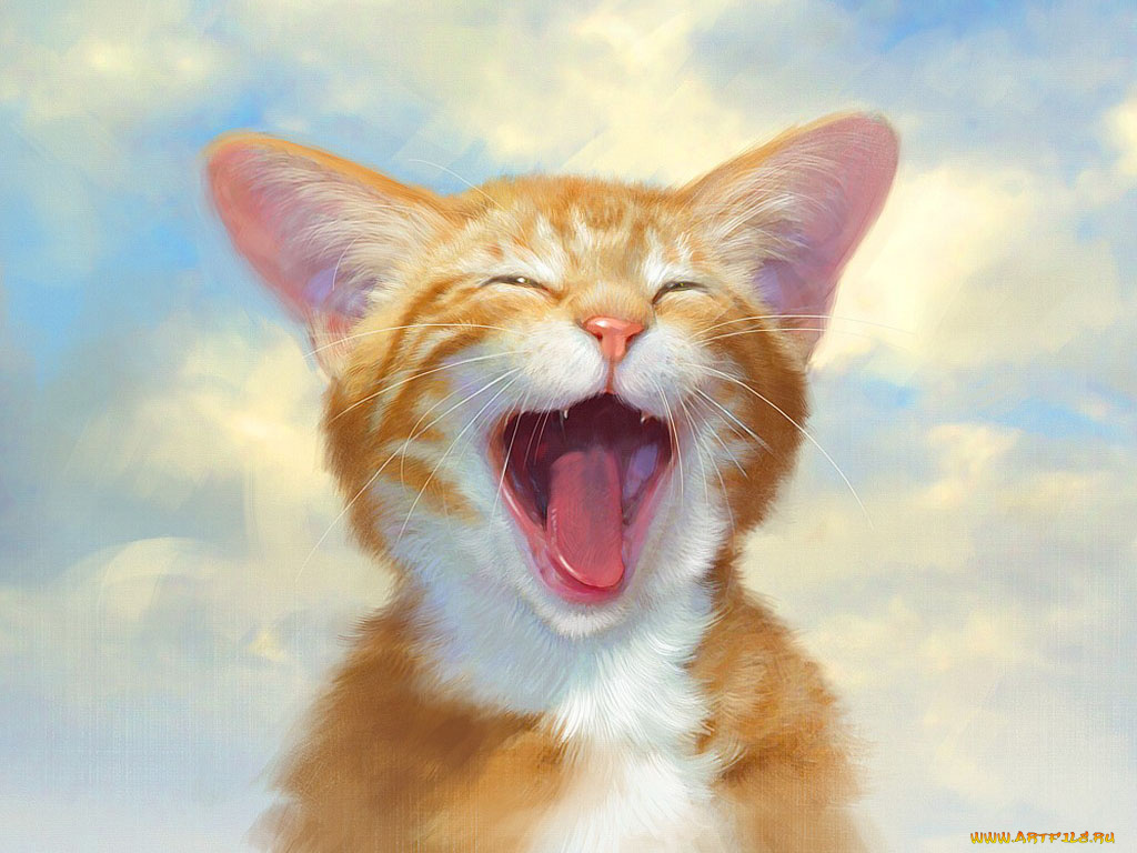 роберт, папп, рисованные, robert, papp