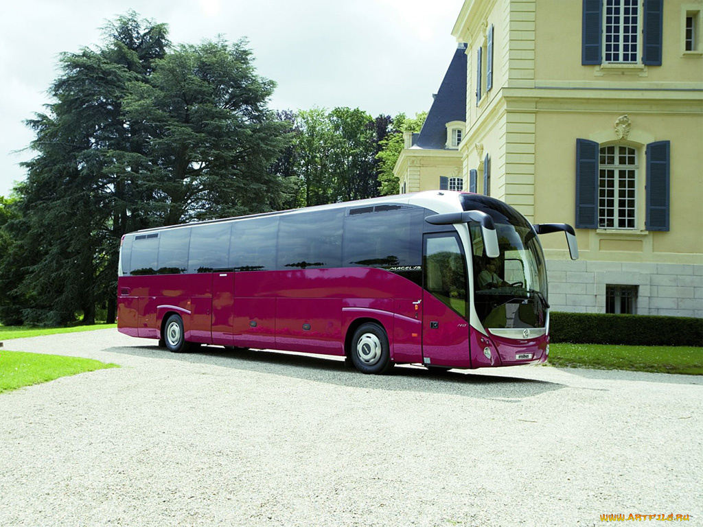 автомобили, автобусы