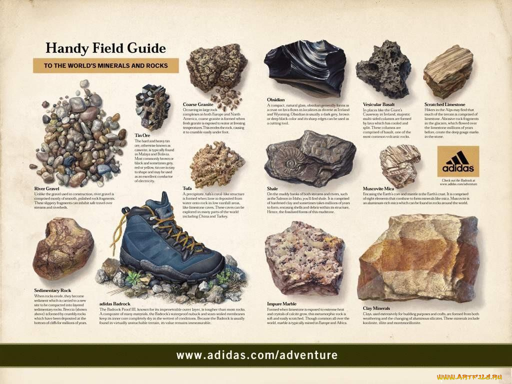 бренды, adidas