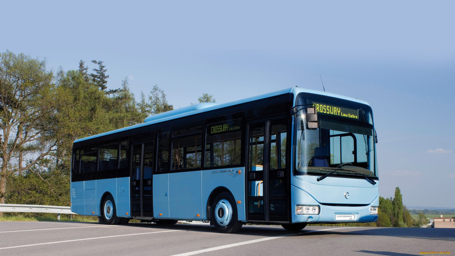 автомобили, автобусы