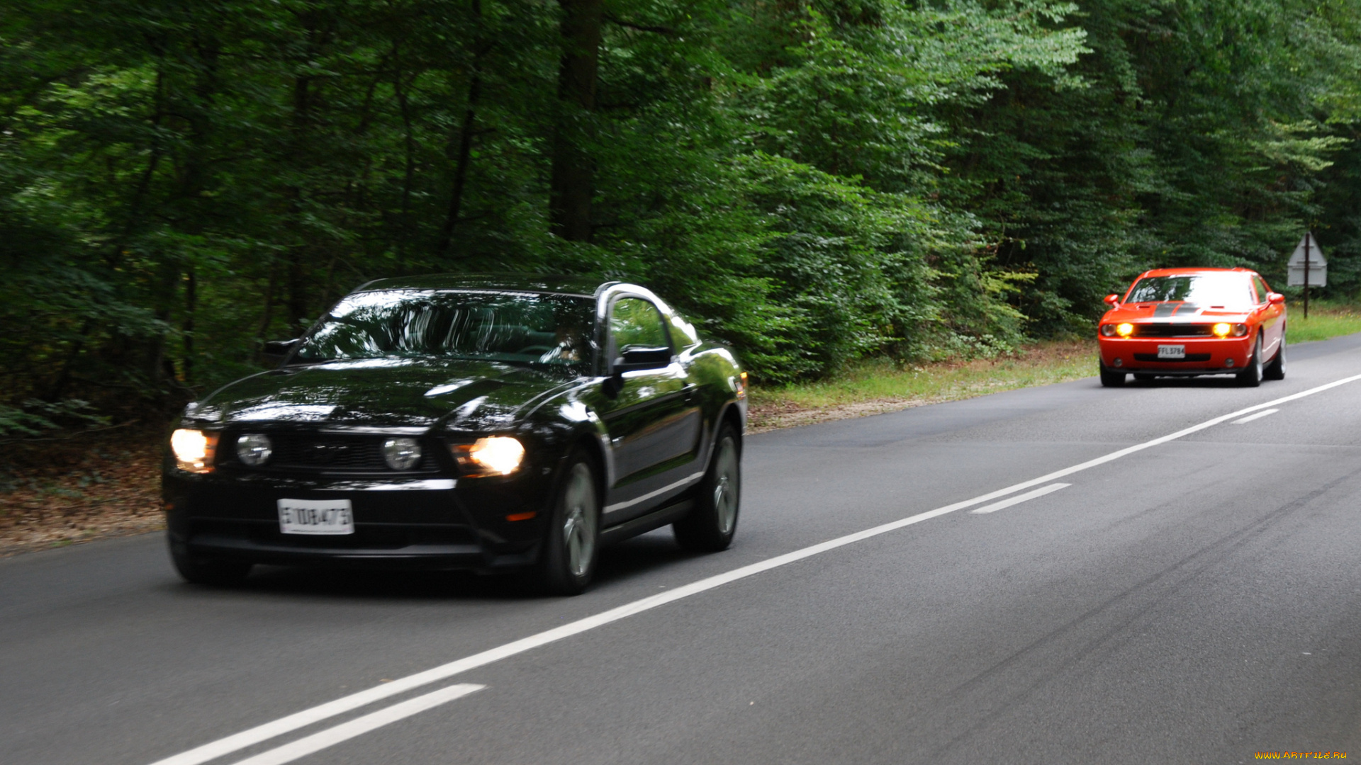 автомобили, разные, вместе