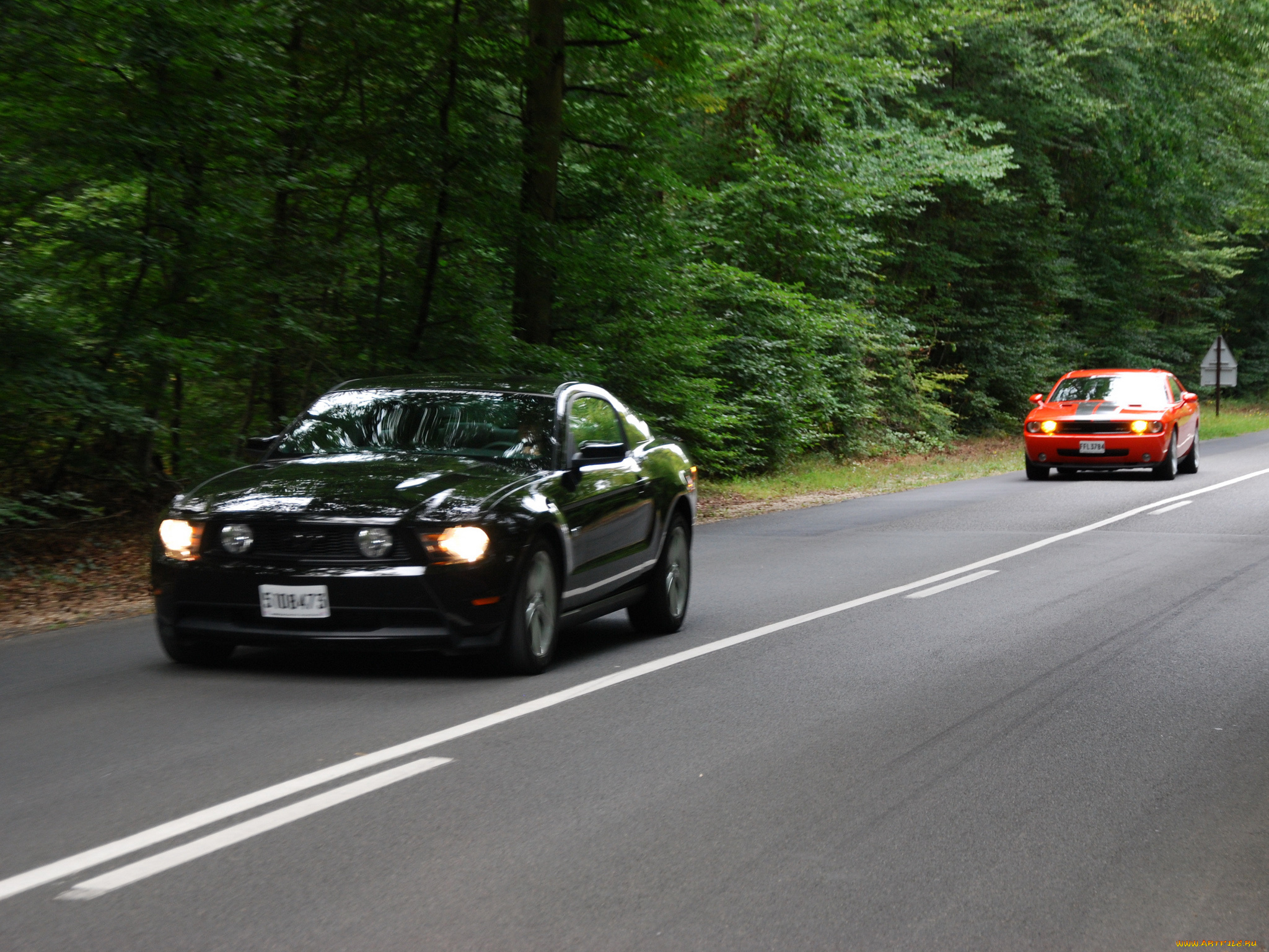 автомобили, разные, вместе