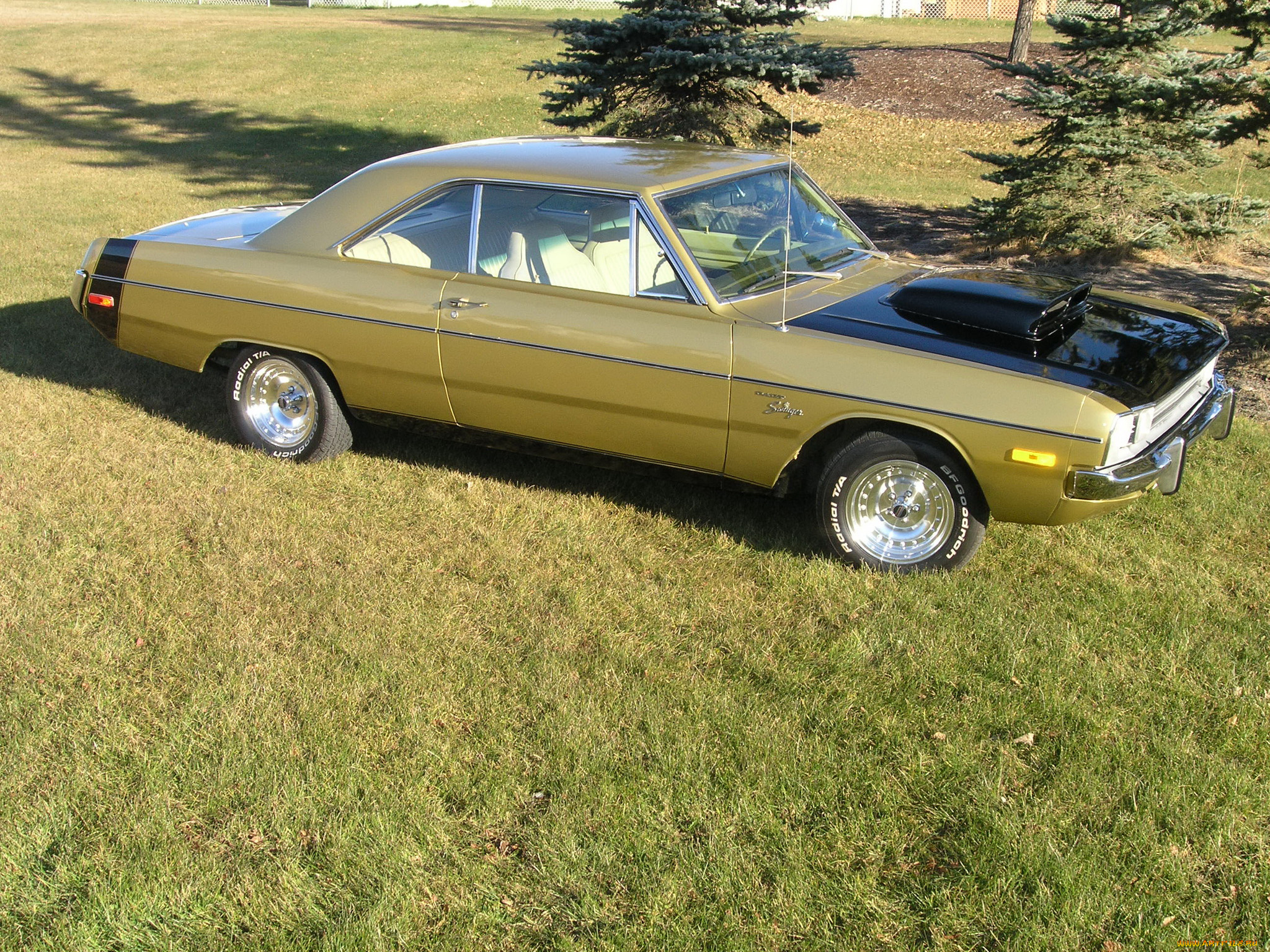 автомобили, dodge