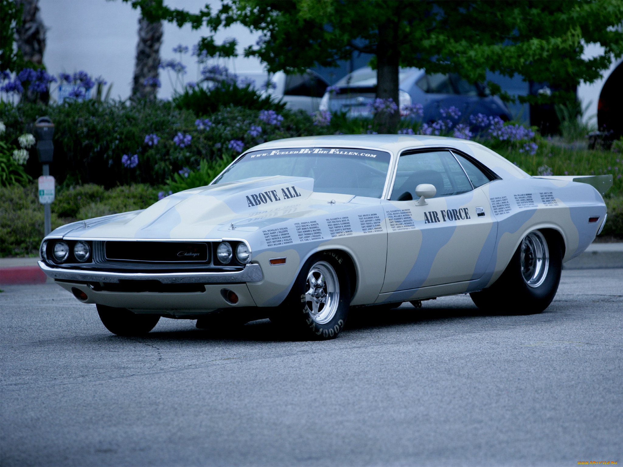 автомобили, hotrod, dragster