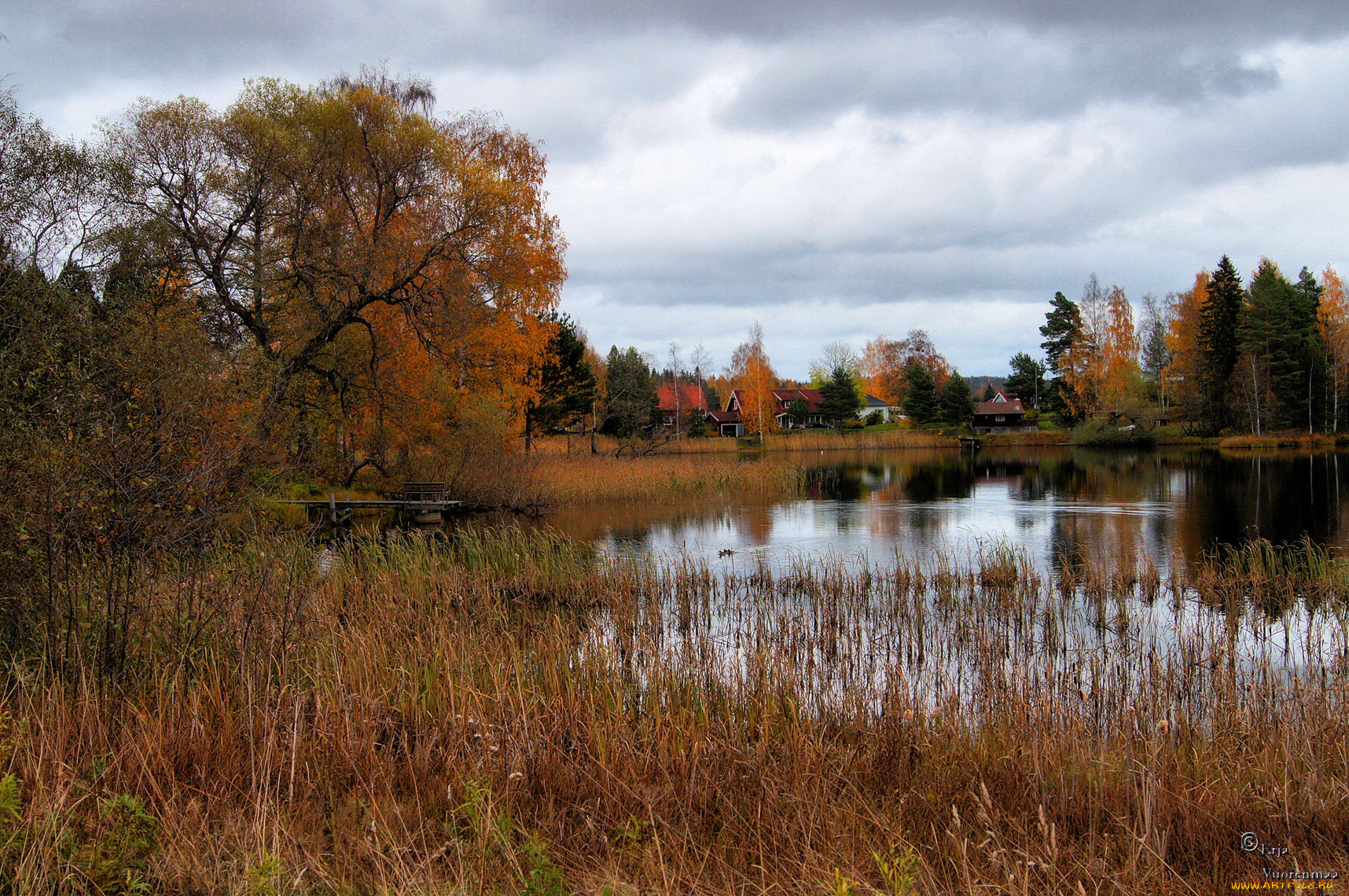 природа, реки, озера, деревья, дома, вода