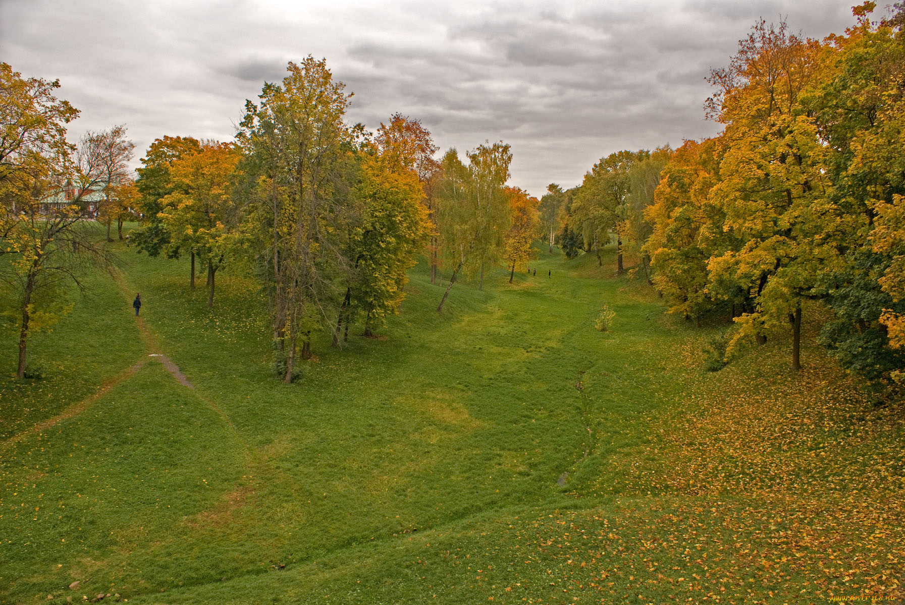 природа, деревья, тучи, желтые, листья, трава