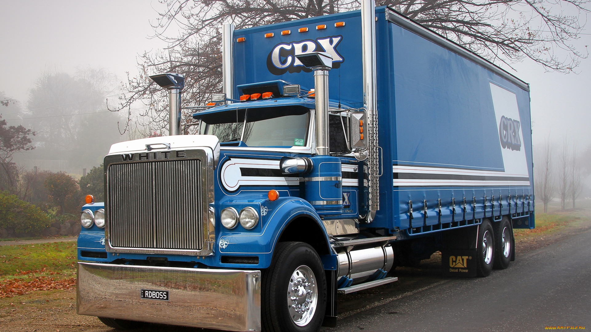 автомобили, грузовики, white