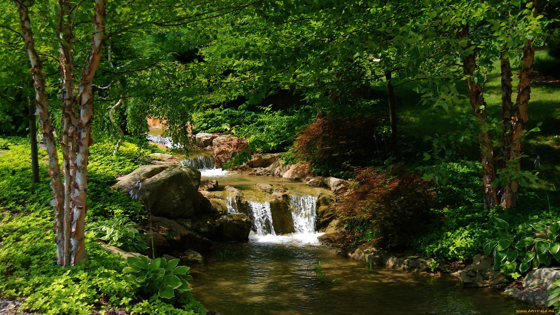 природа, реки, озера, лесной, ручей