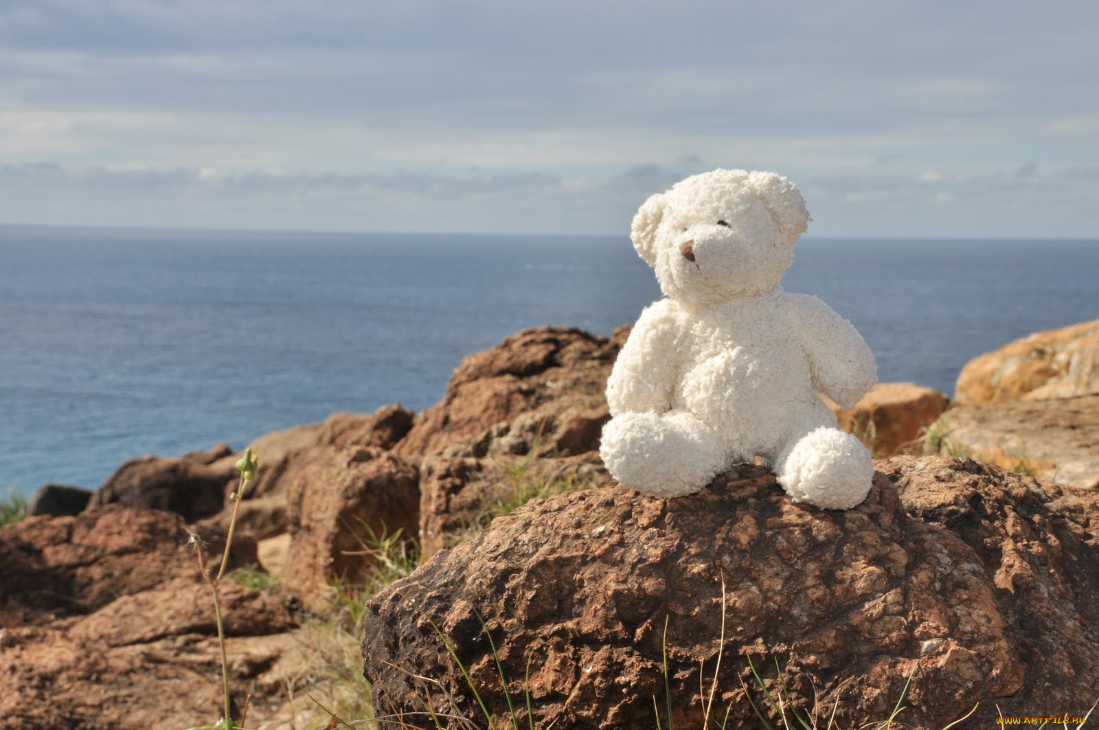 разное, игрушки, медвежонок, камни