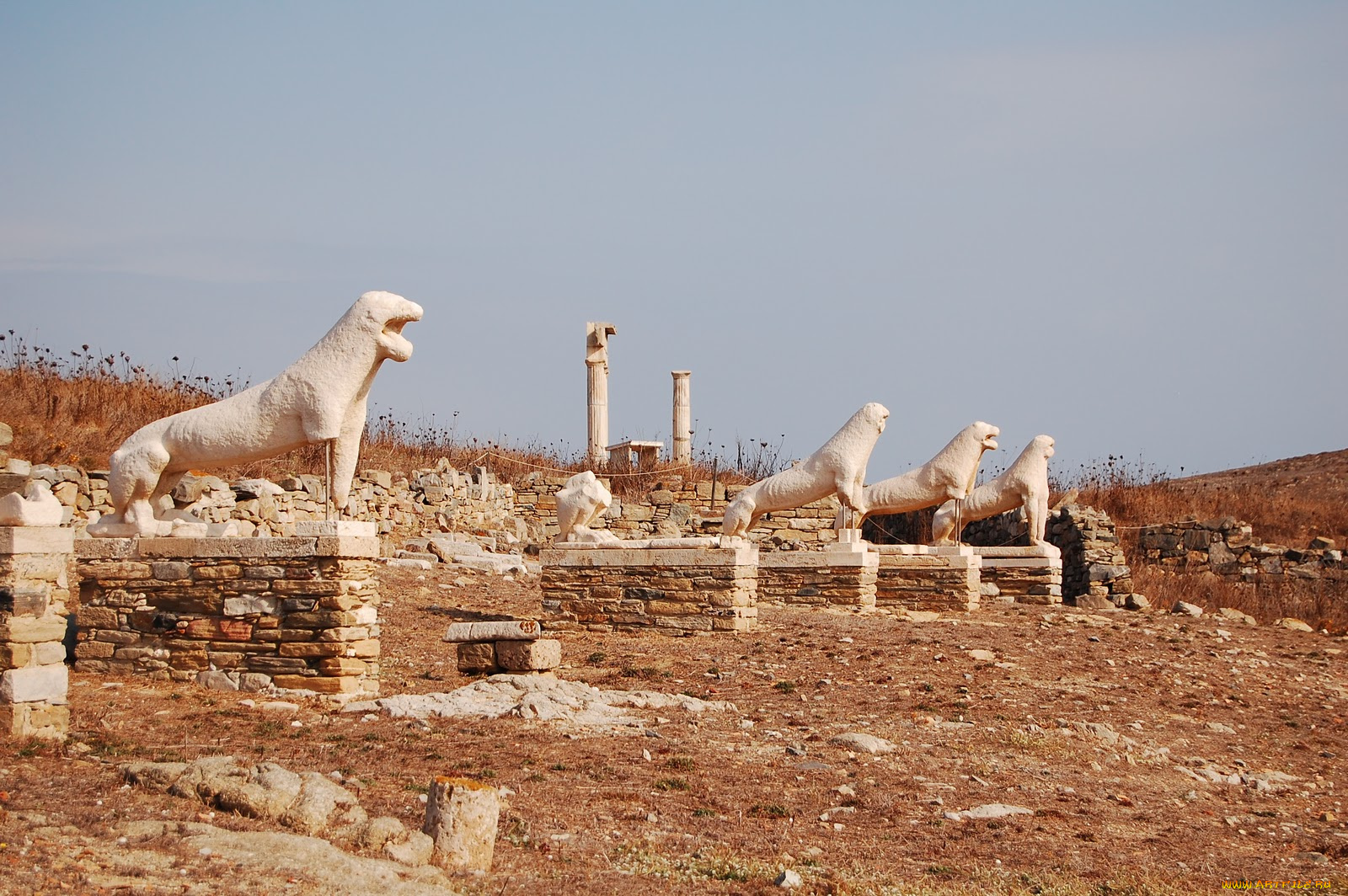 города, исторические, архитектурные, памятники, руины, храм, львы