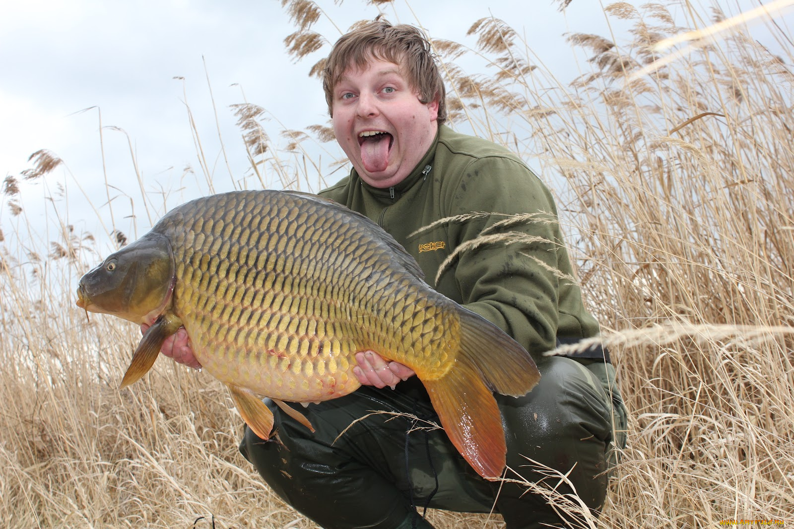 животные, рыбы, улов, рыба