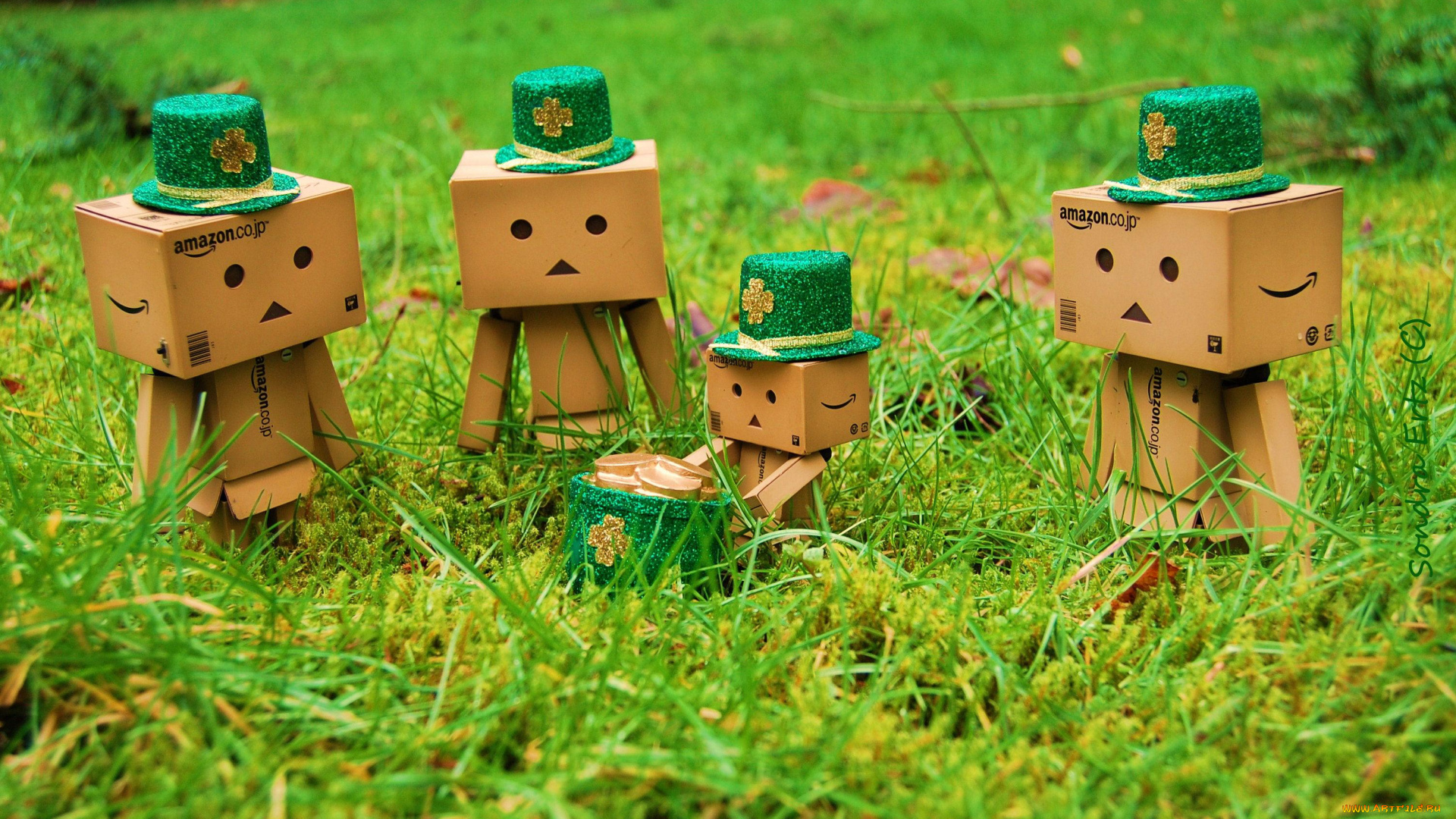 разное, данбо, danboard, трава, шляпы, коробочки