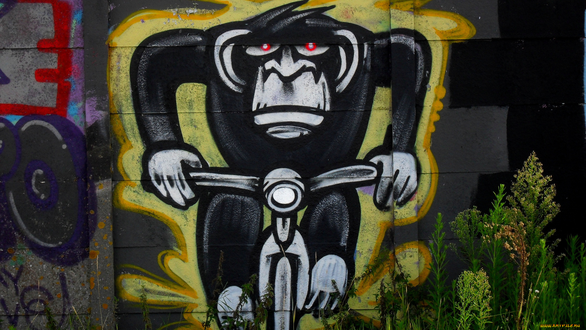 разное, граффити, стена, трава, забор, обезьяна