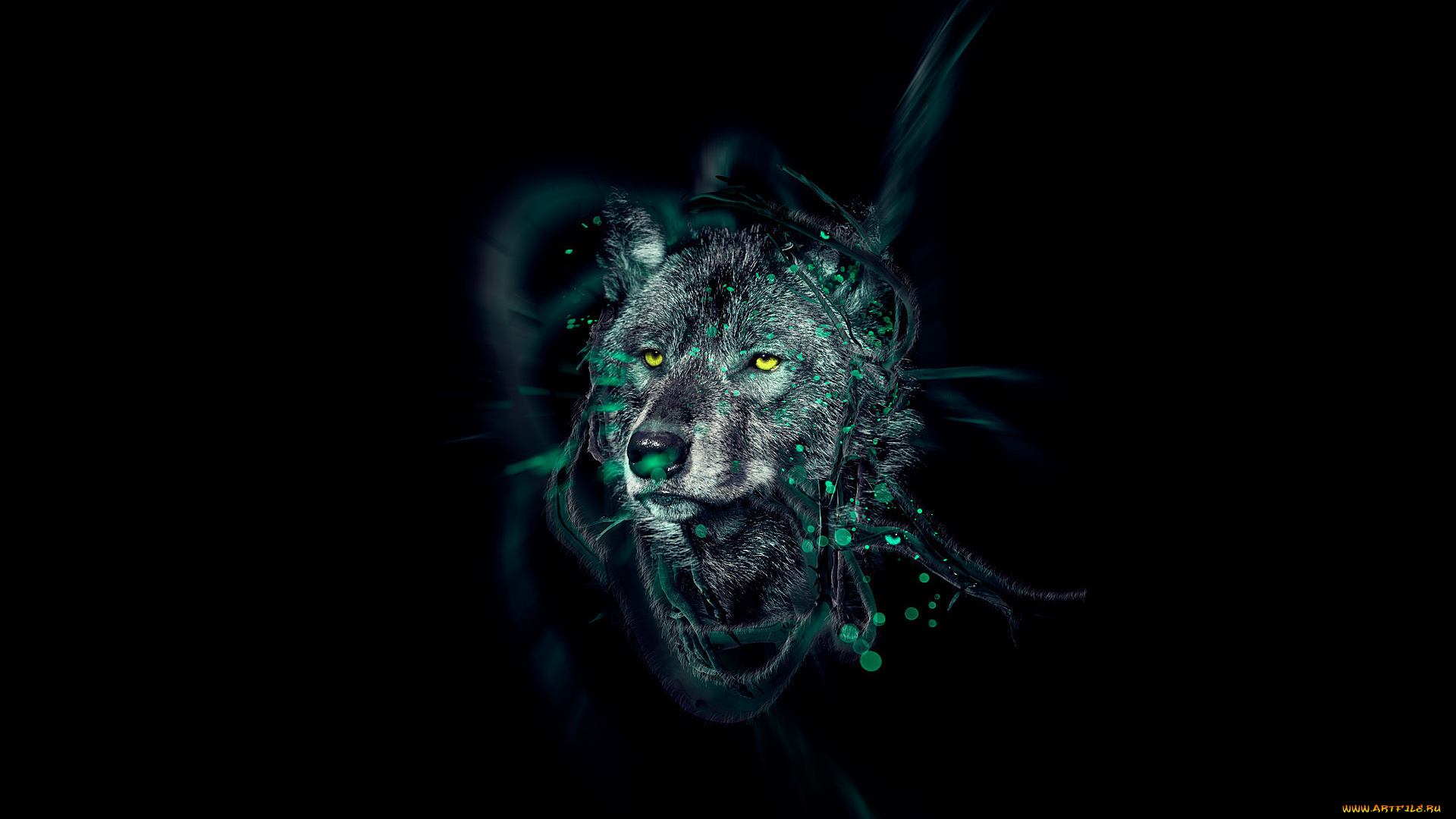 разное, компьютерный, дизайн, волк, абстракция, темный, черный