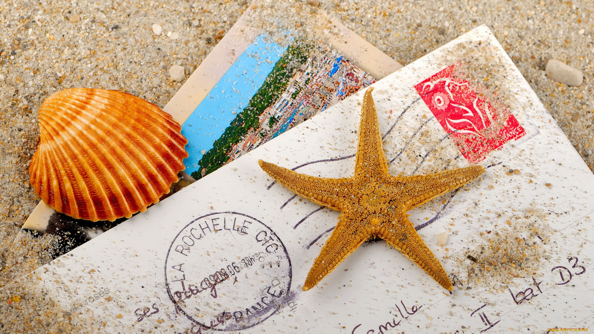 разное, ракушки, кораллы, декоративные, spa, камни, песок, конверт, звезда, ракушка