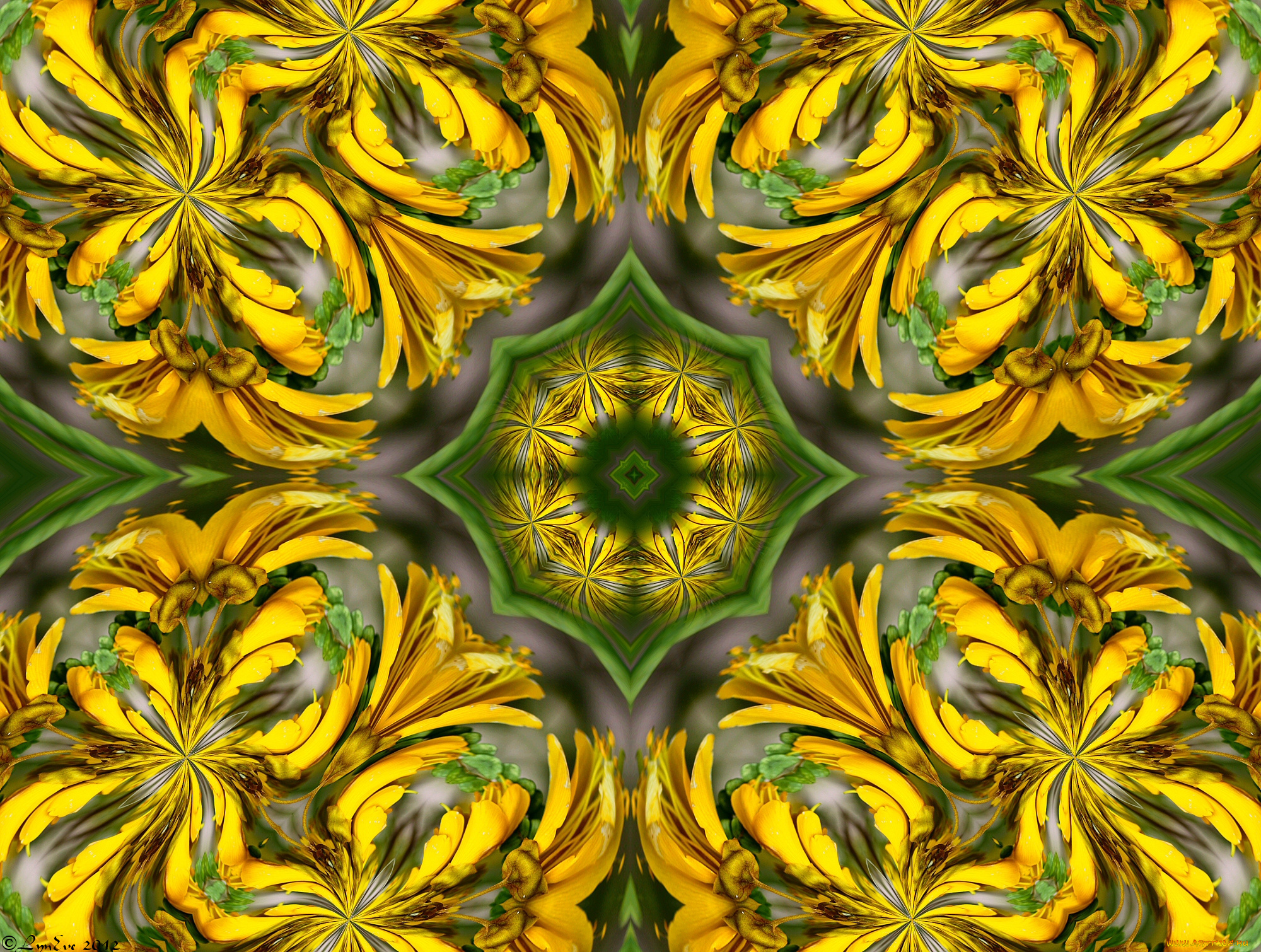 разное, компьютерный, дизайн, цветы