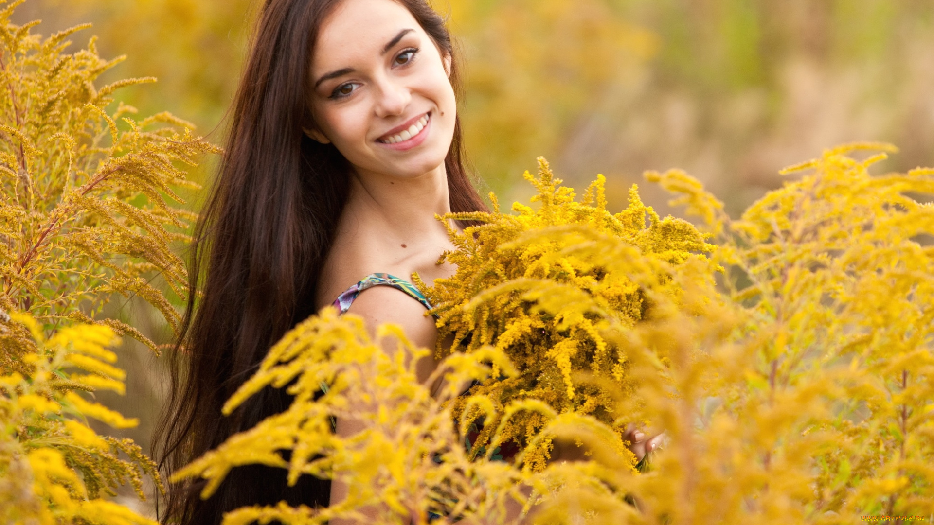 -Unsort, Брюнетки, Шатенки, девушки, unsort, брюнетки, шатенки, цветы, волосы