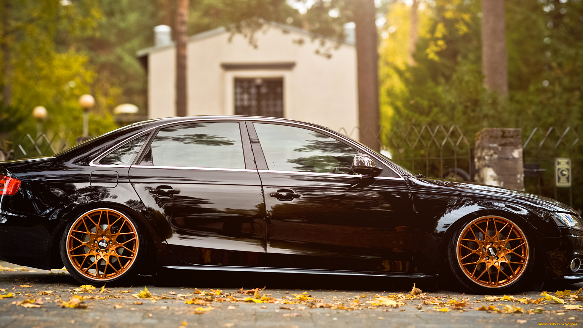 audi, b8, автомобили