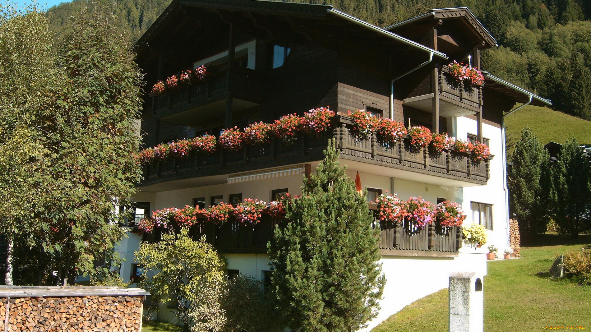 австрия, тироль, города, здания, дома, цветы, пейзаж, горы