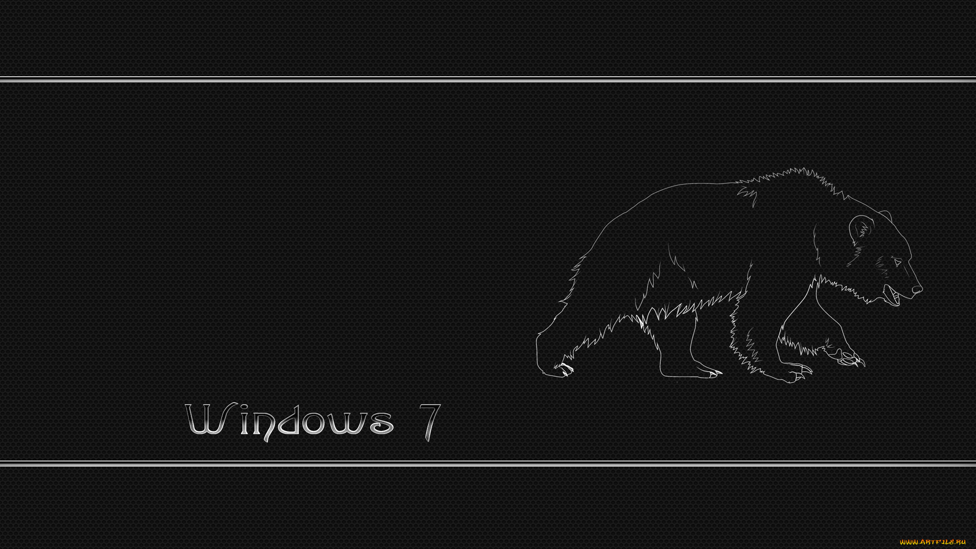 компьютеры, windows, vienna, медведь, фон, логотип