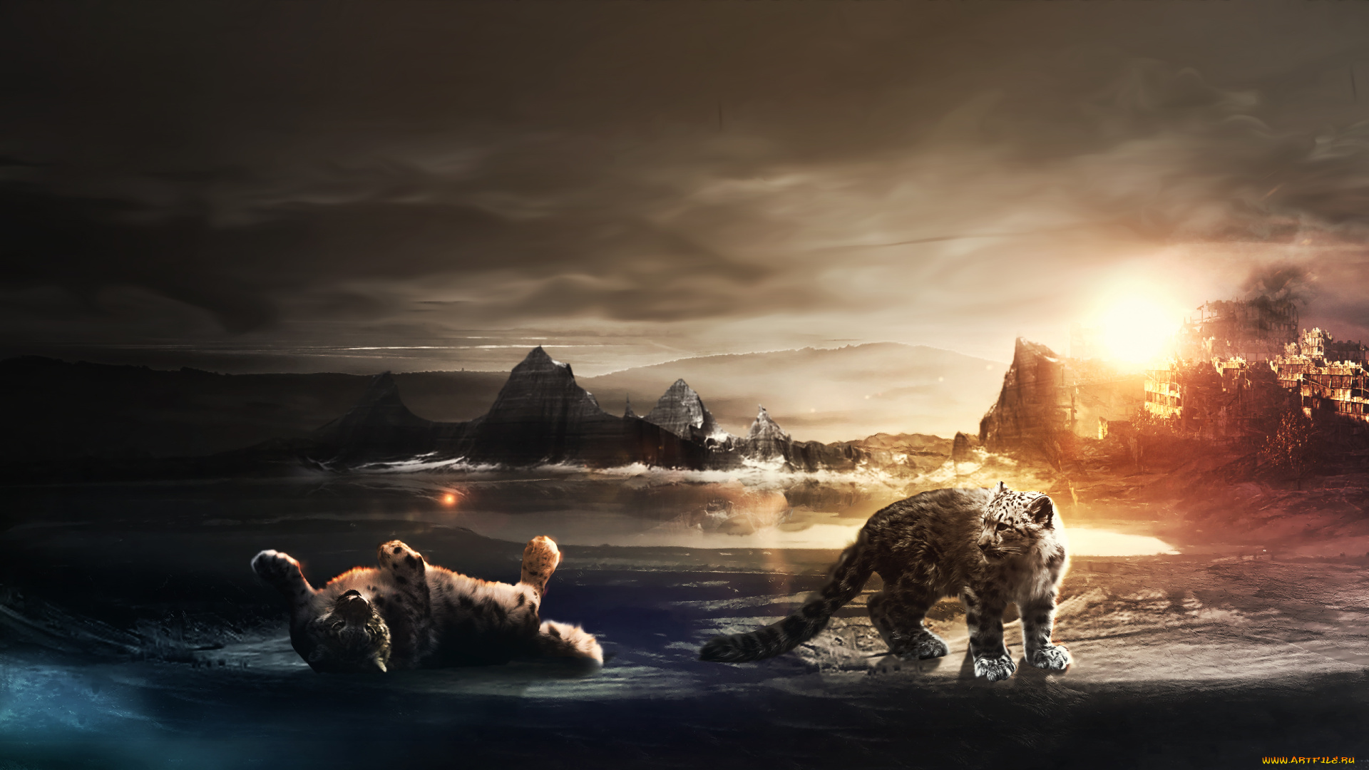 разное, компьютерный, дизайн, хищник