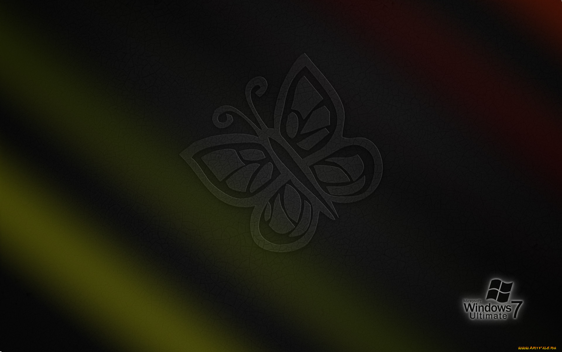 компьютеры, windows, vienna, логотип, фон, бабочка