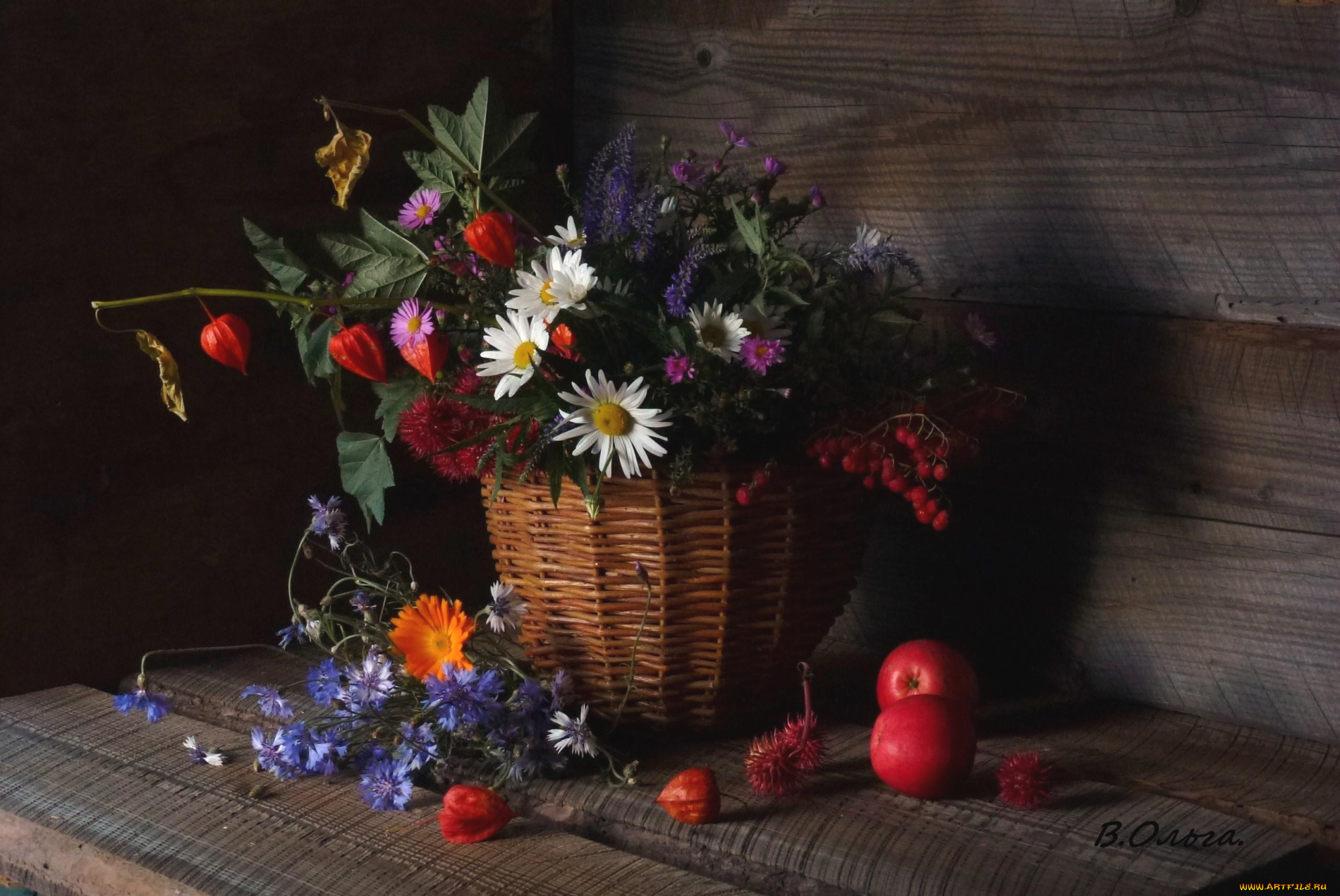 цветы, луговые, полевые, яблоки, ромашки, физалис, васильки