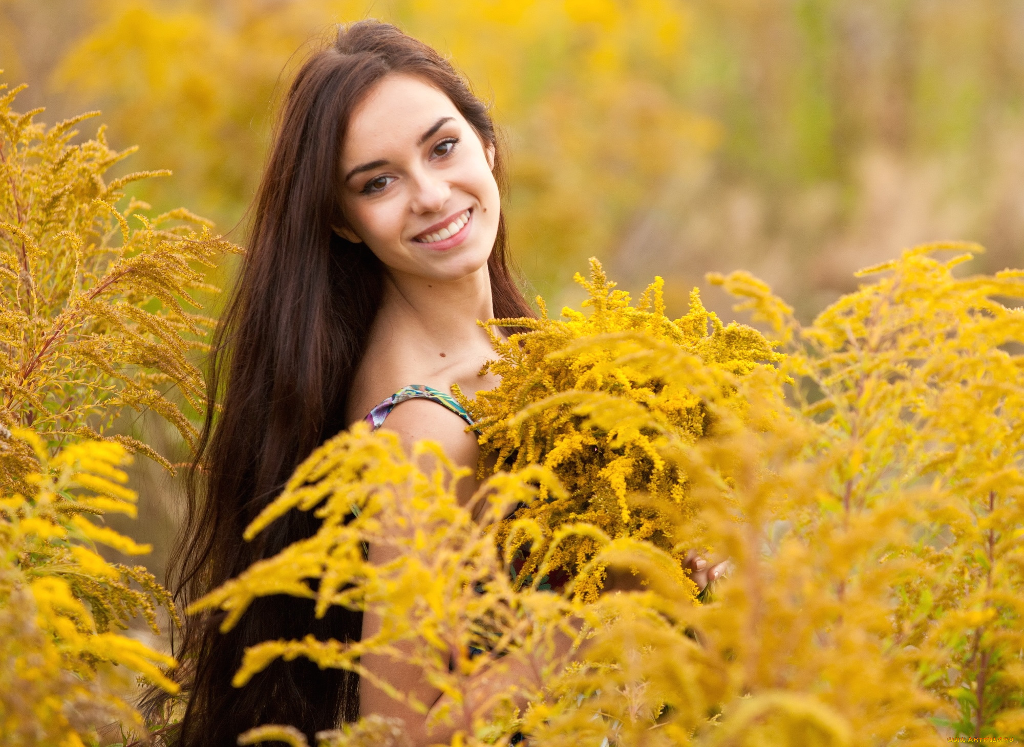 -Unsort, Брюнетки, Шатенки, девушки, unsort, брюнетки, шатенки, цветы, волосы