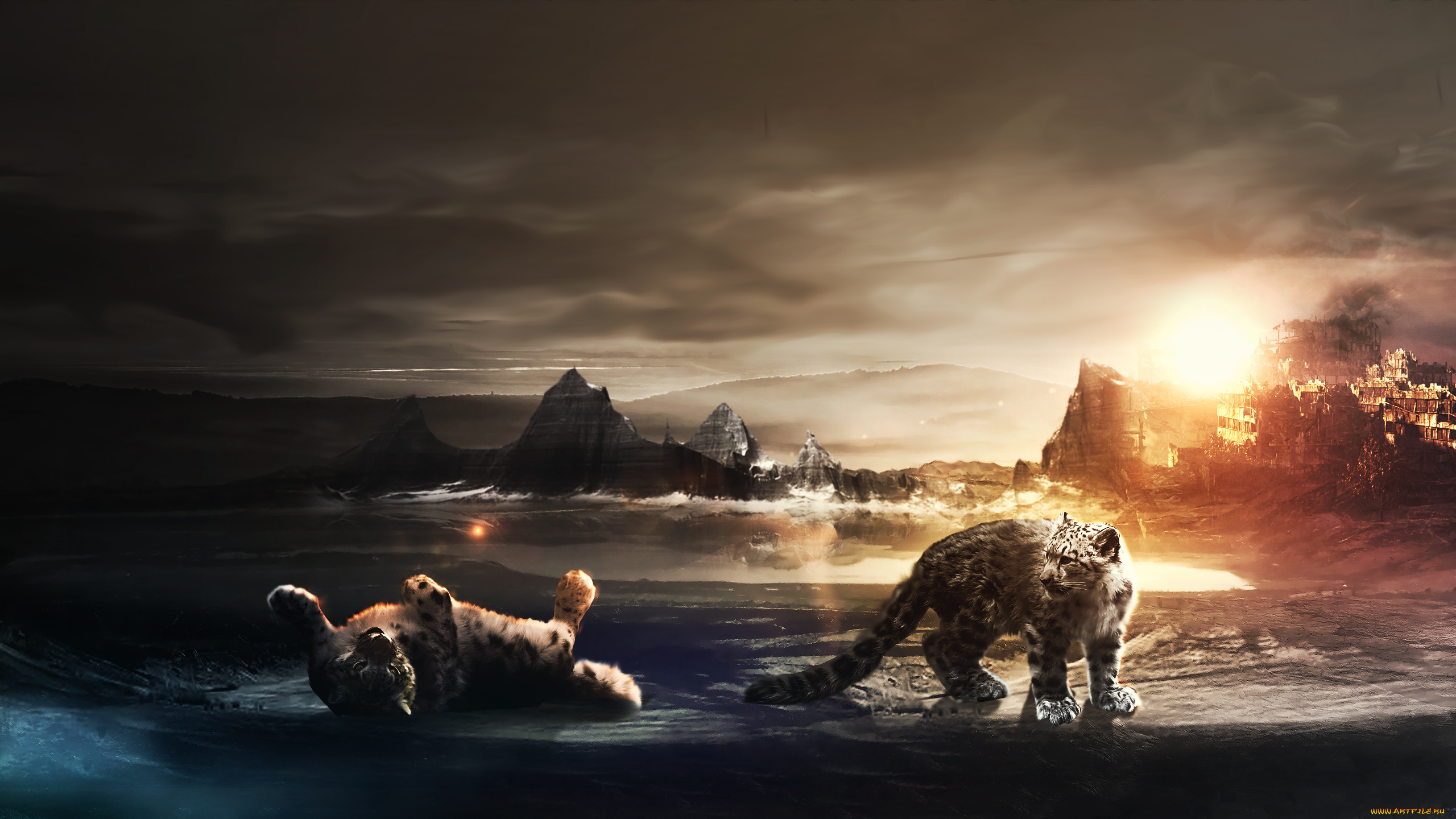 разное, компьютерный, дизайн, хищник