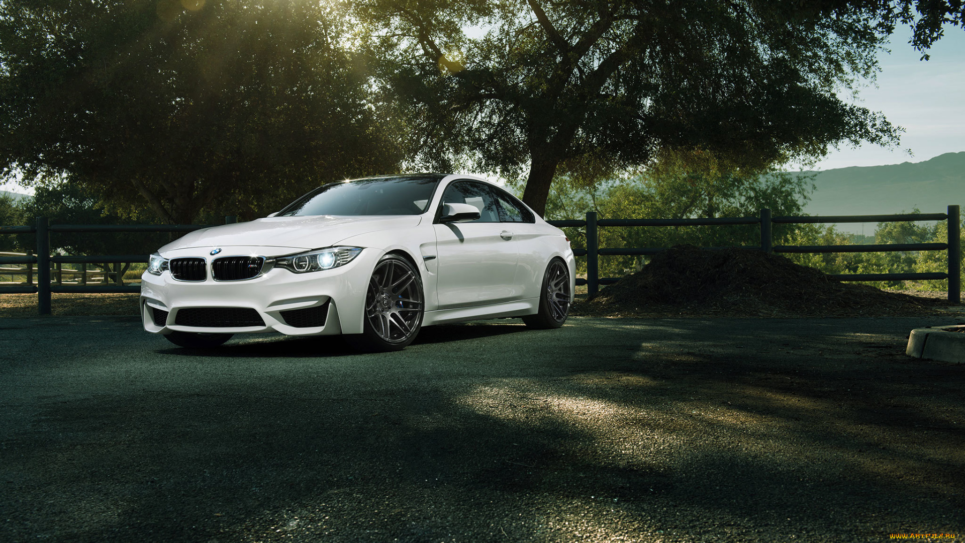 автомобили, bmw, car, m4, природа, 1013mm, белая