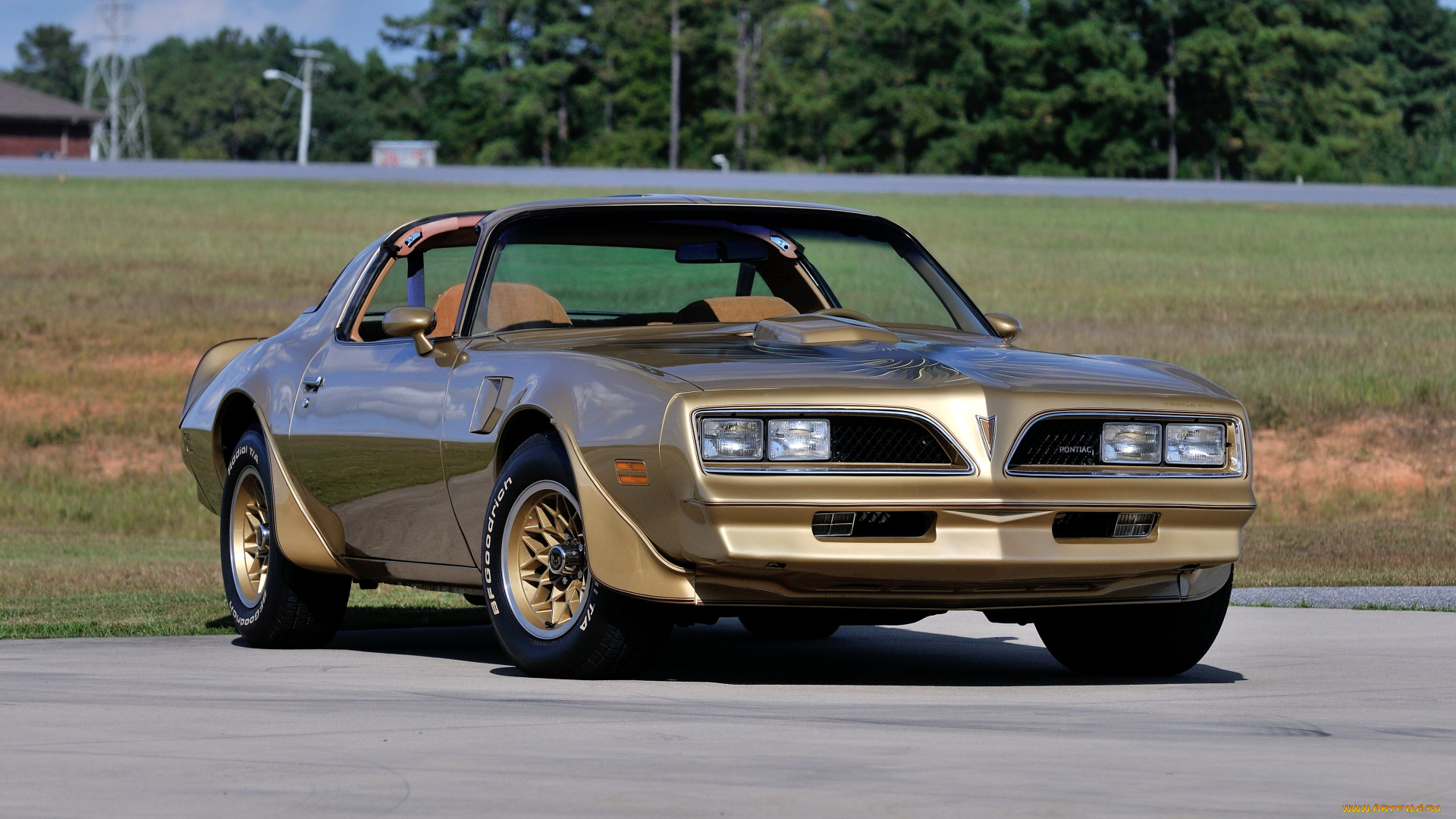 автомобили, pontiac, am, trans, edition, special, gold, firebird