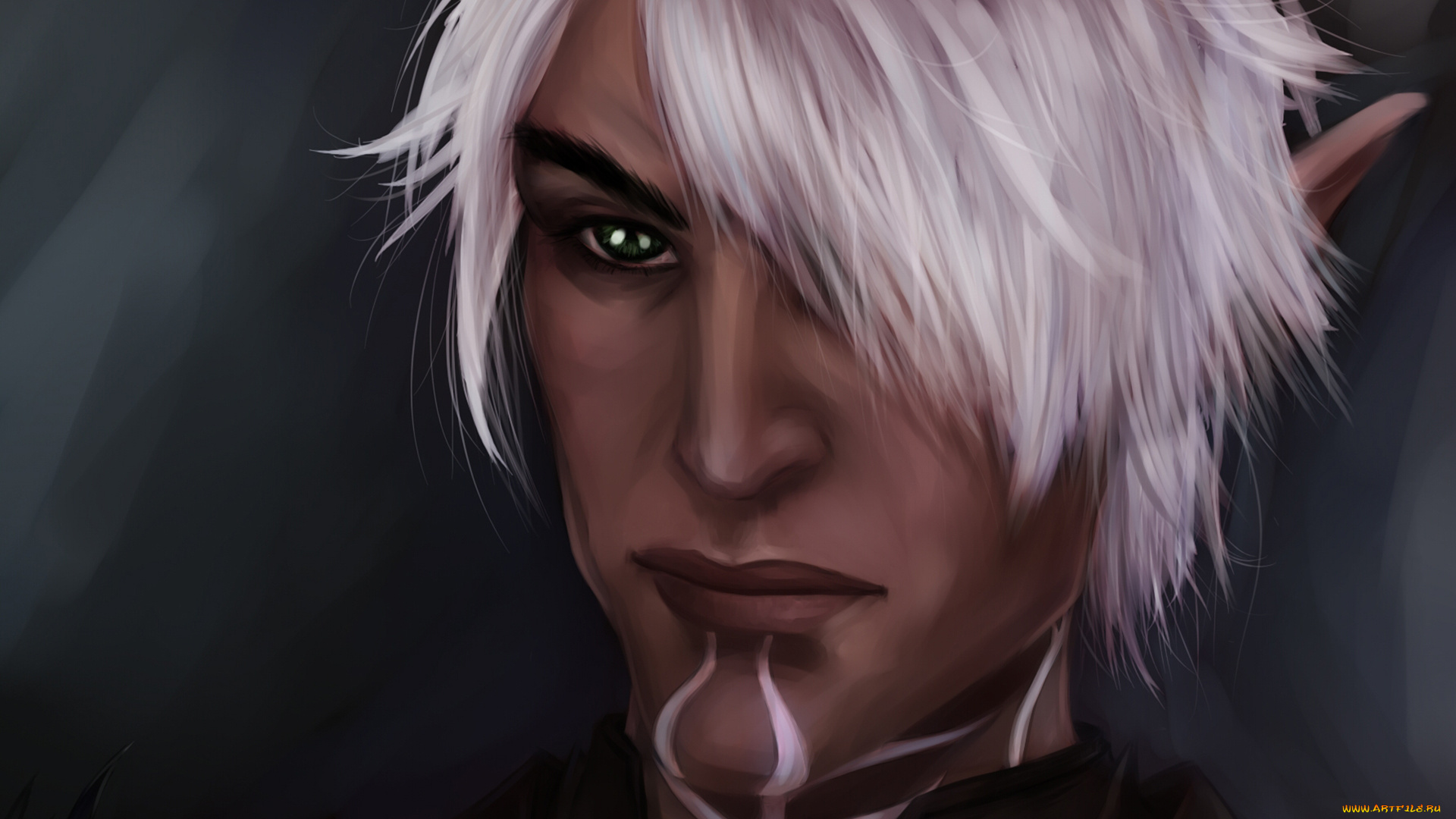 видео, игры, dragon, age, лицо, эльф, воин, dragon, age, fenris