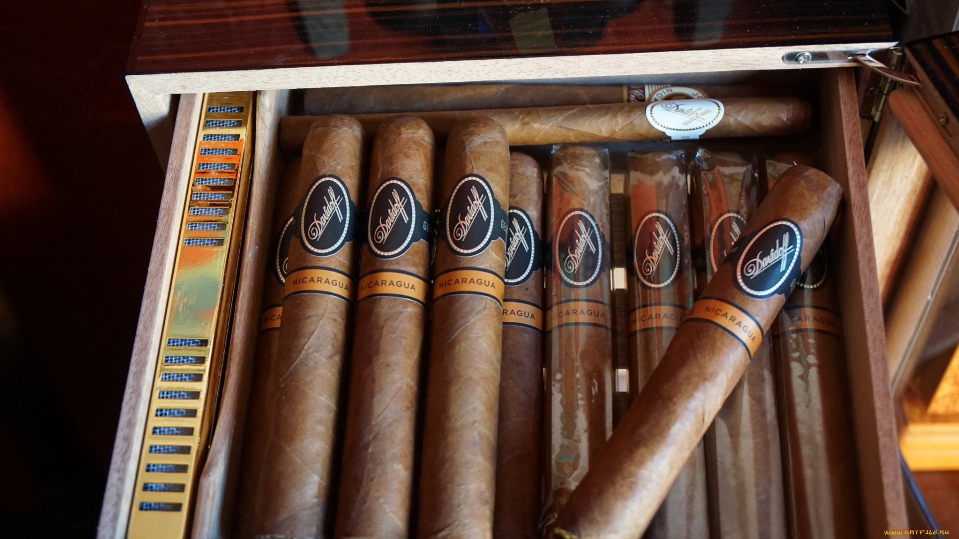 бренды, davidoff, сигары