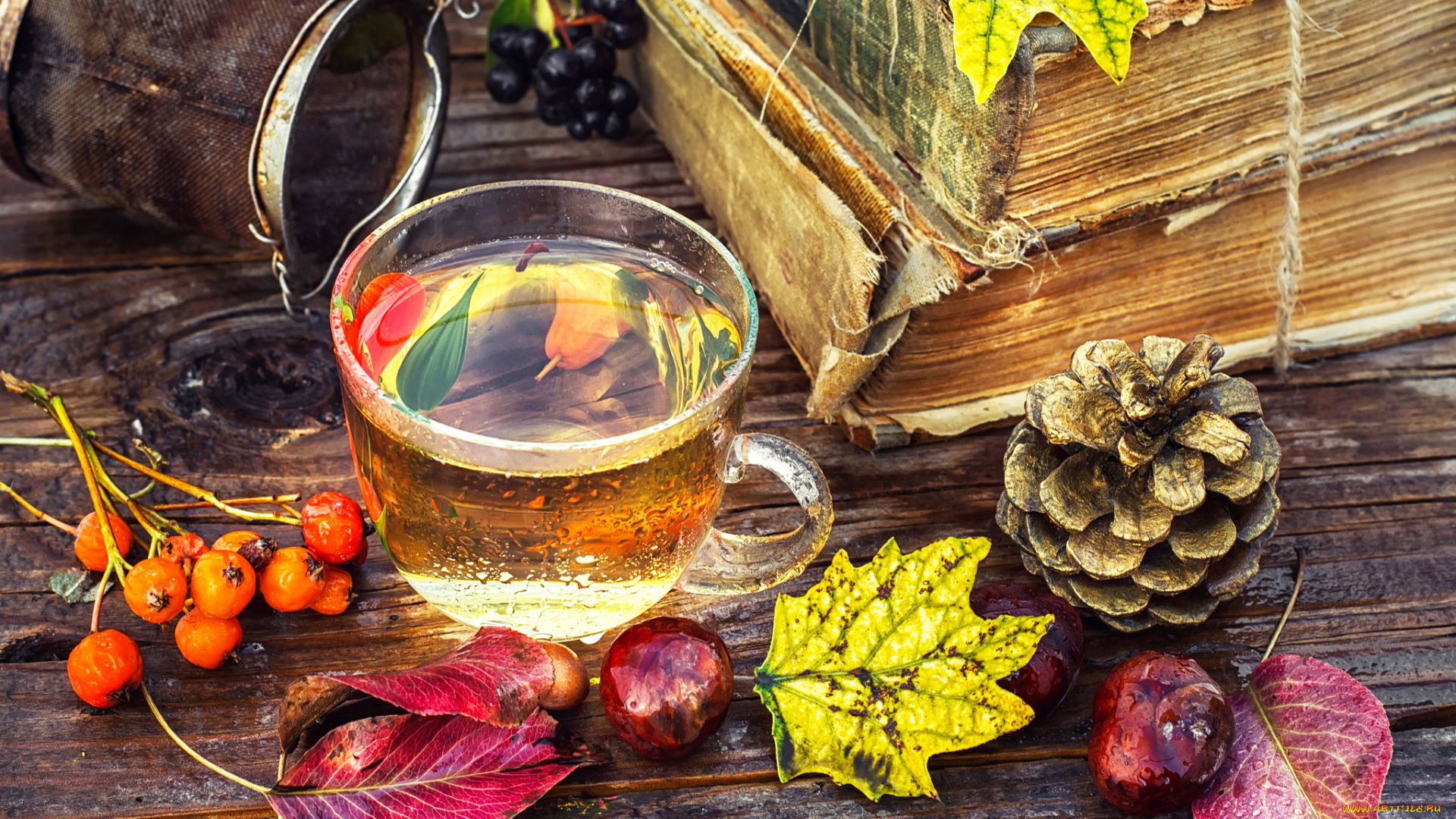 еда, напитки, , Чай, шишка, каштаны, рябина, ягоды, листья, доски, ситечко, книги, чай, чашка