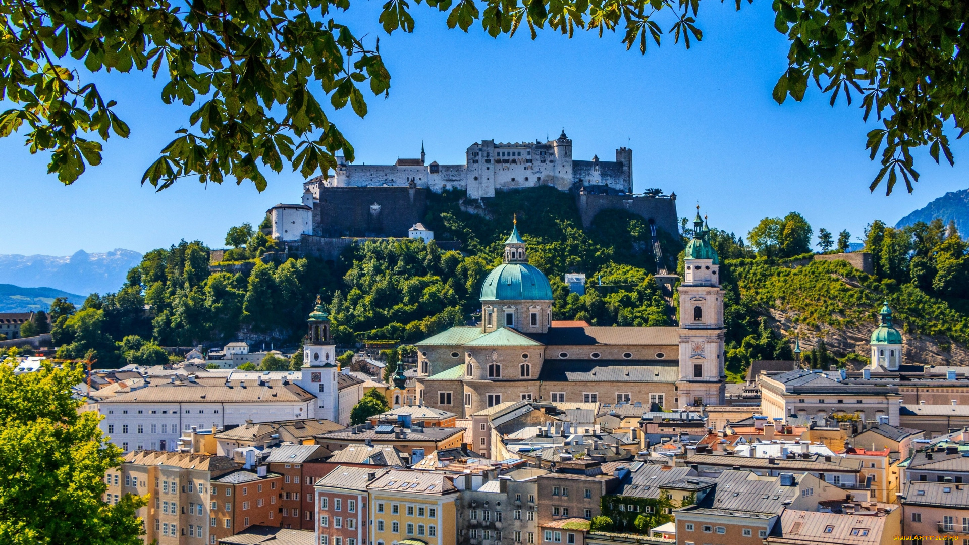 города, -, католические, соборы, , костелы, , аббатства, панорама, зальцбургский, собор, гора, фестунгберг, крепость, хоэнзальцбург, austria, salzburg, cathedral, festungsberg, ветки, здания, австрия, зальцбург, hohensalzburg, castle