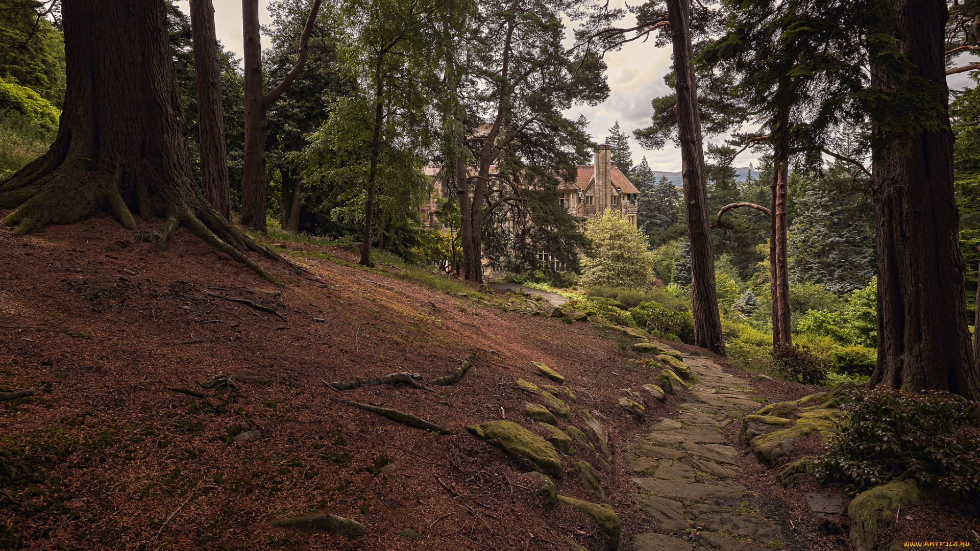 города, -, пейзажи, лес, особняк