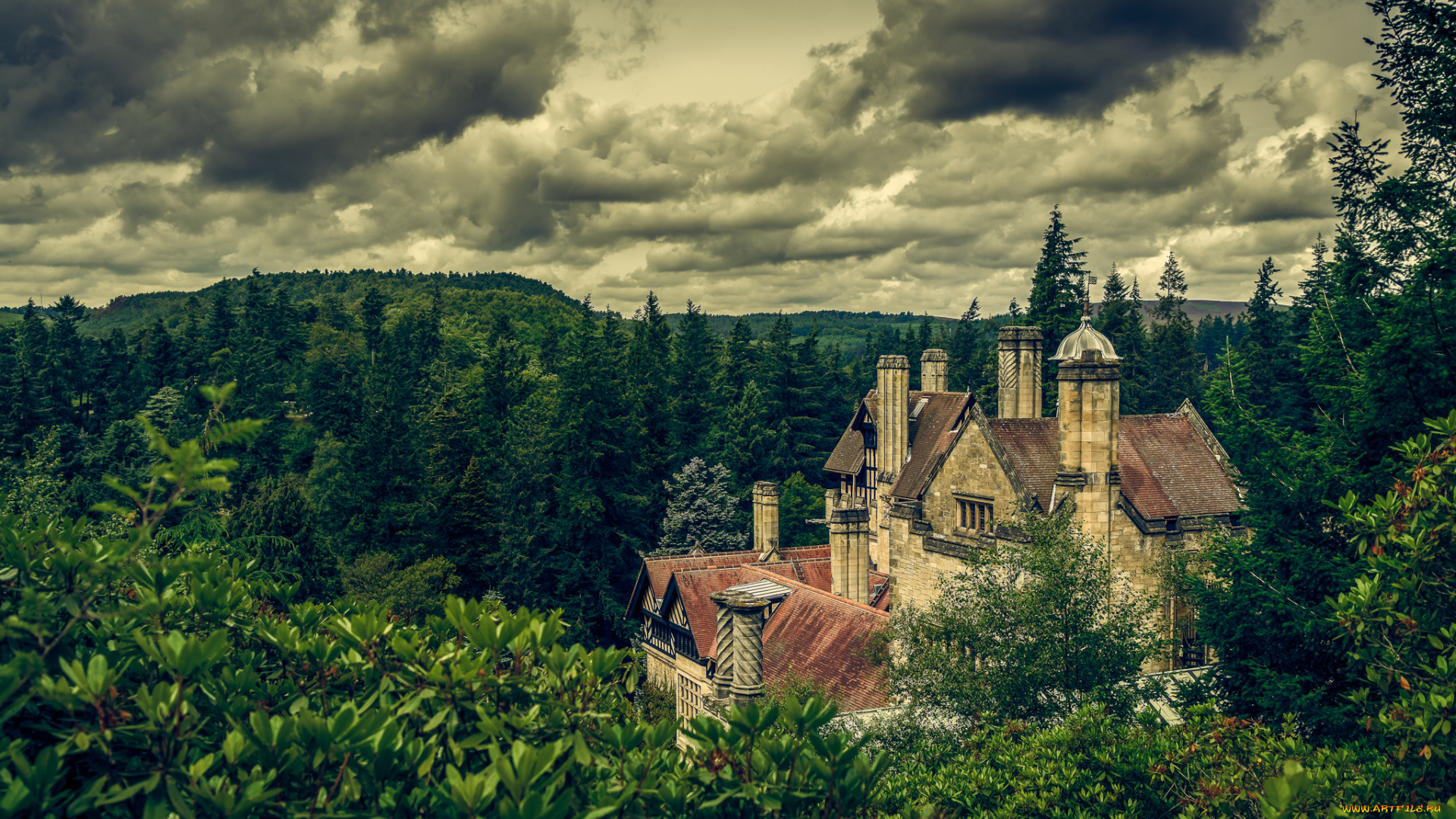 города, -, пейзажи, лес, особняк