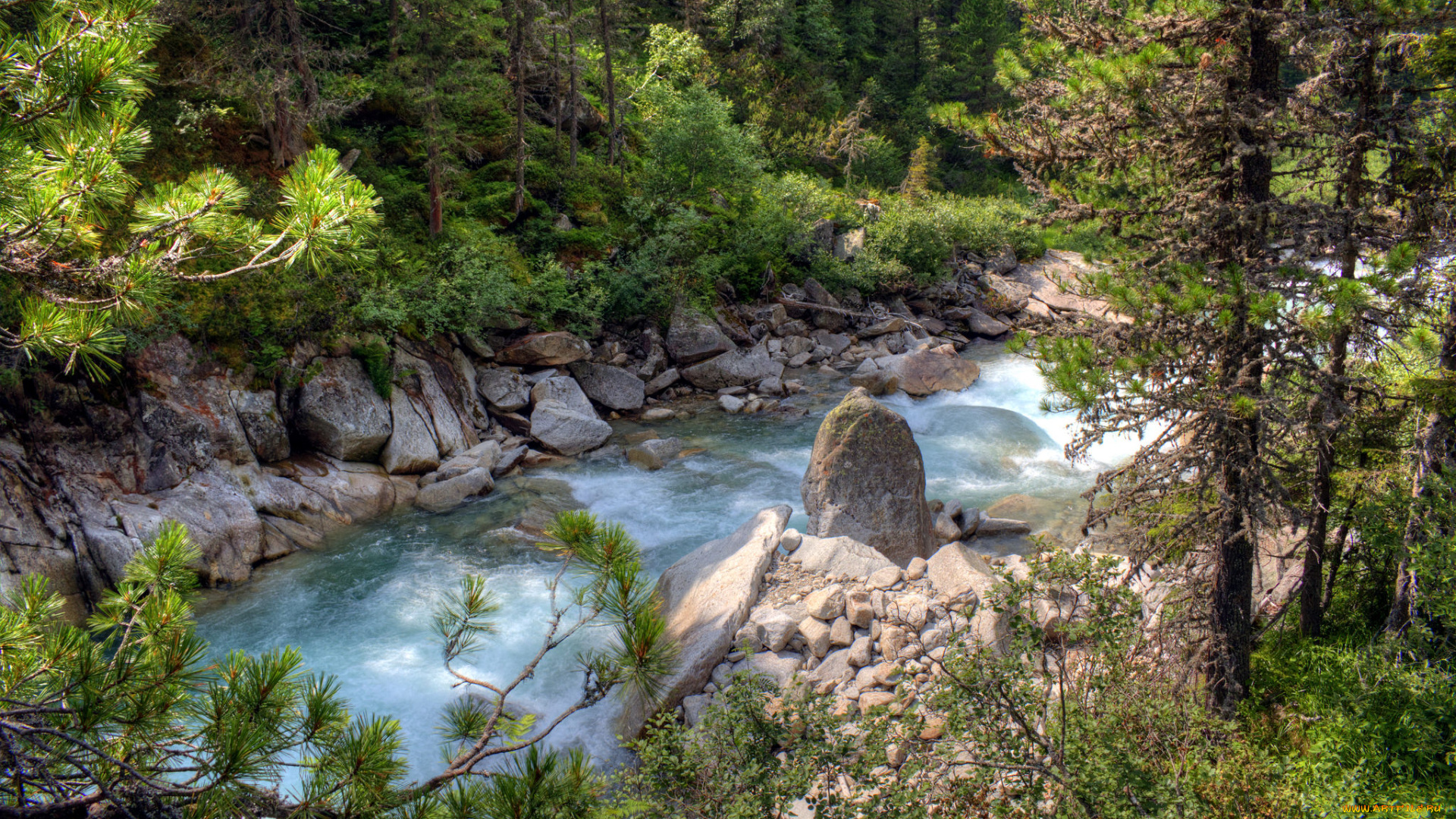 природа, реки, озера, лес, река