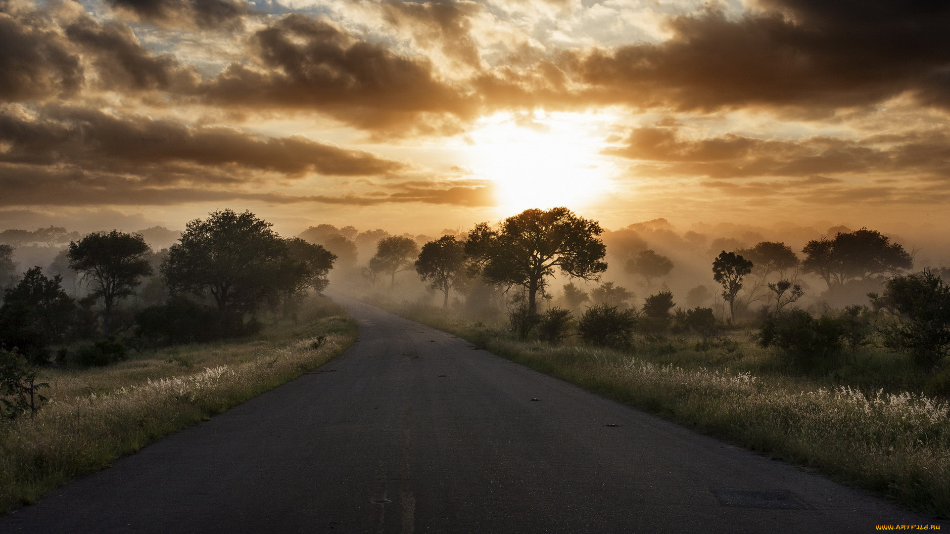 природа, восходы, закаты, небо, дорога, утро