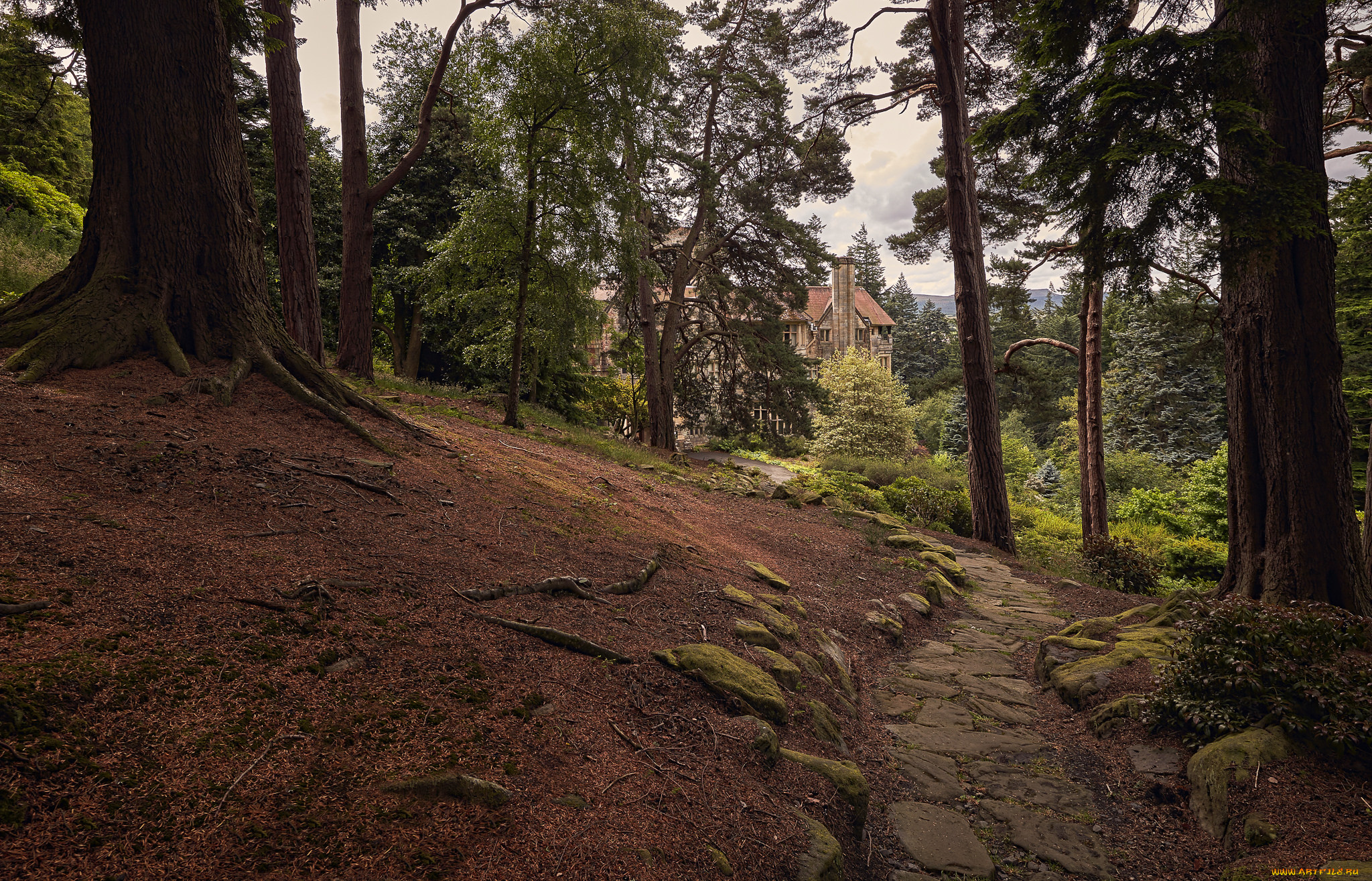 города, -, пейзажи, лес, особняк