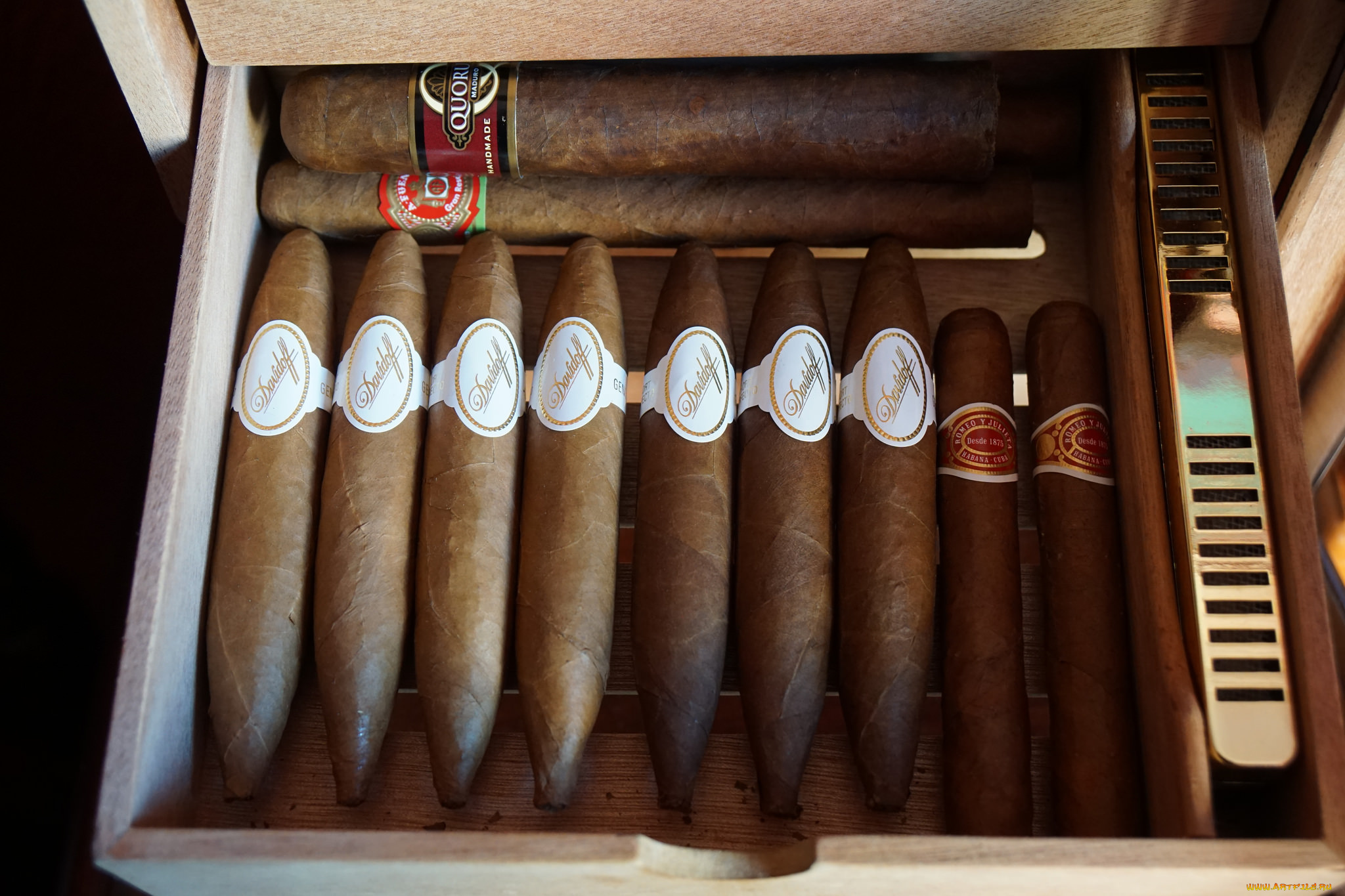 бренды, -, другое, сигары