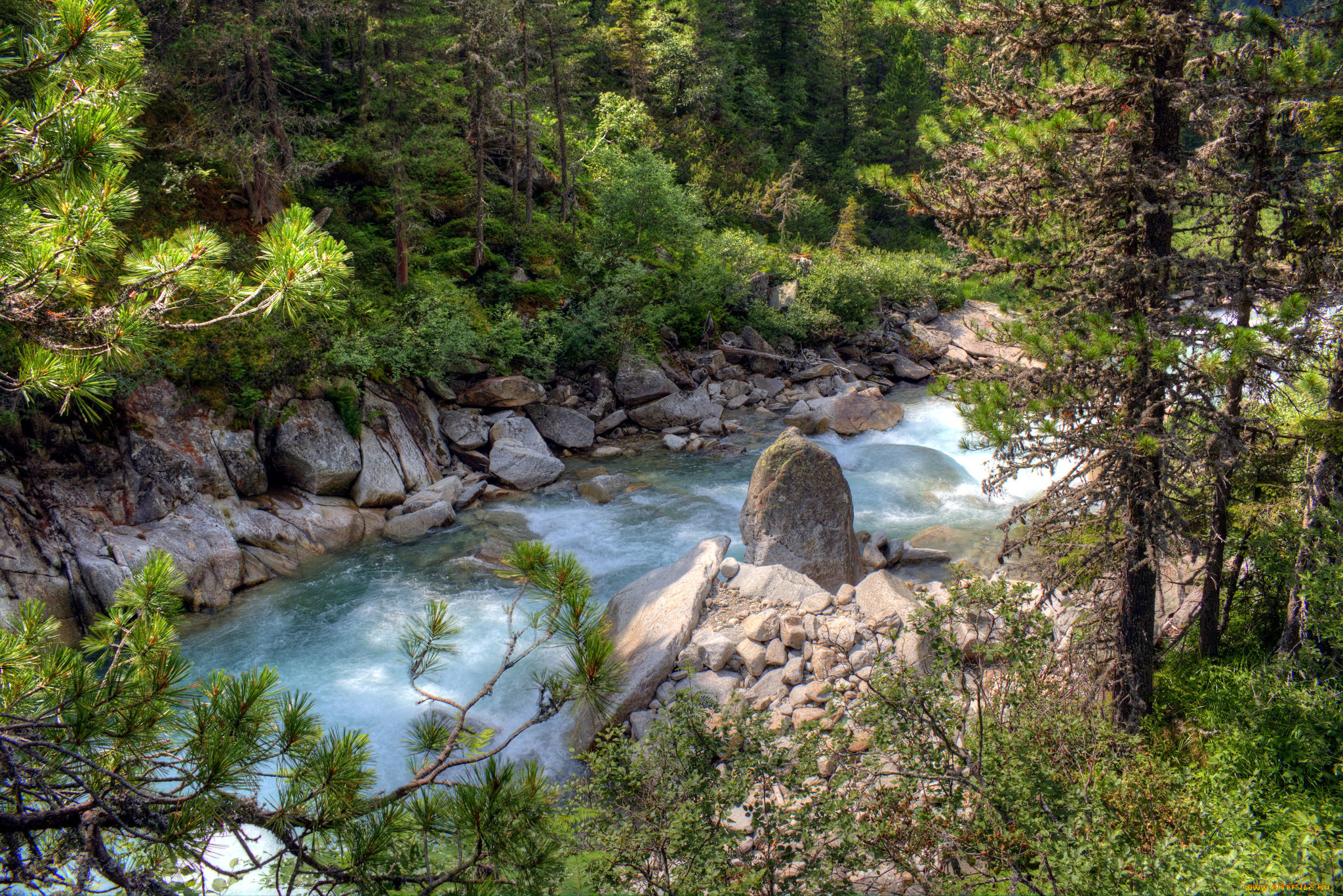 природа, реки, озера, лес, река