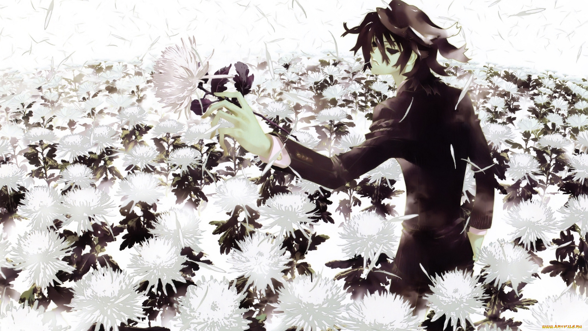 аниме, shiki, koide, natsuno