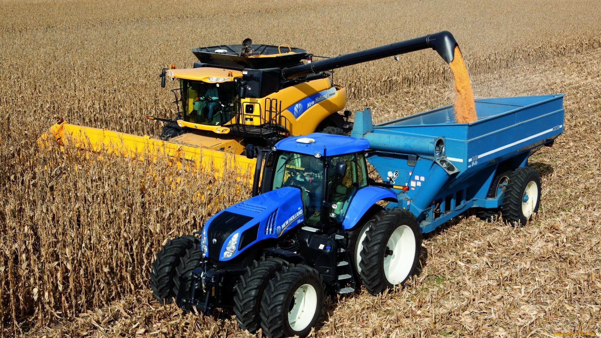 техника, тракторы, new, holland