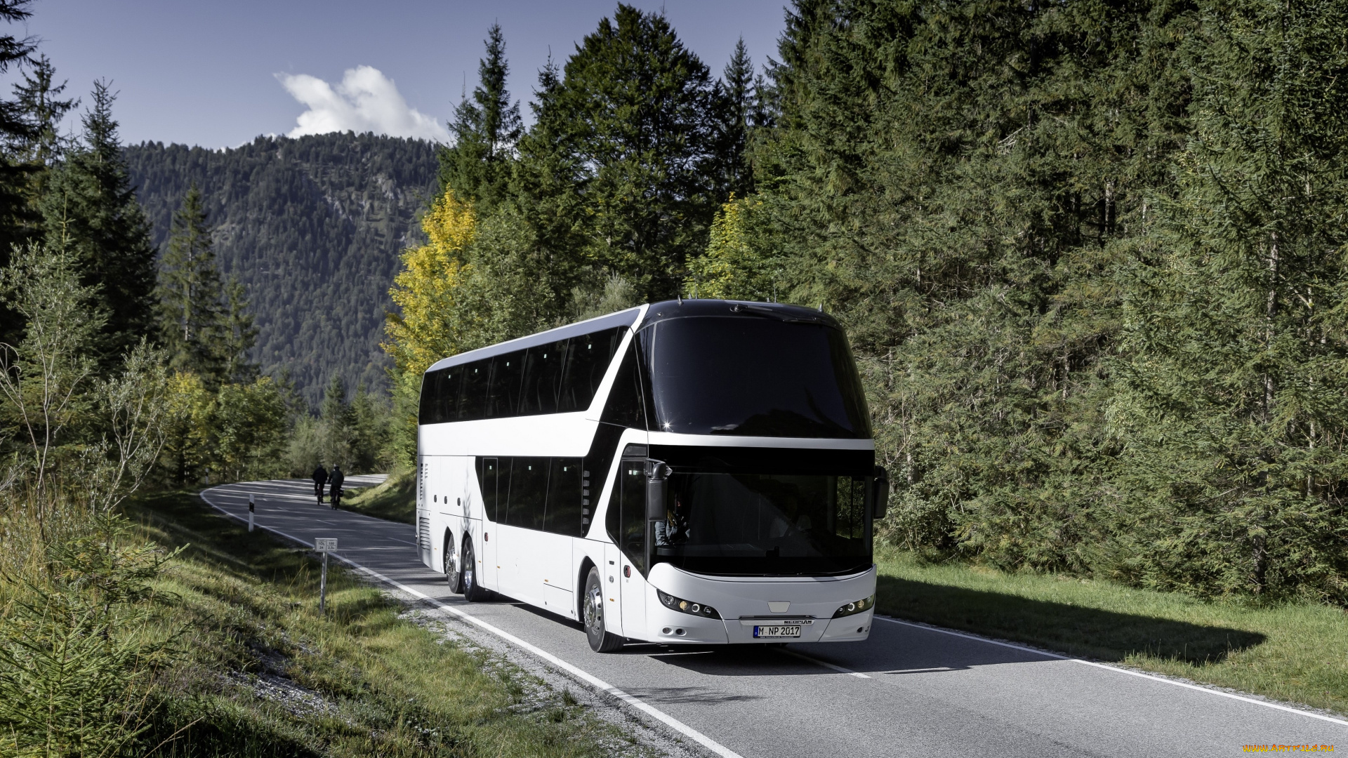 автомобили, автобусы, neoplan