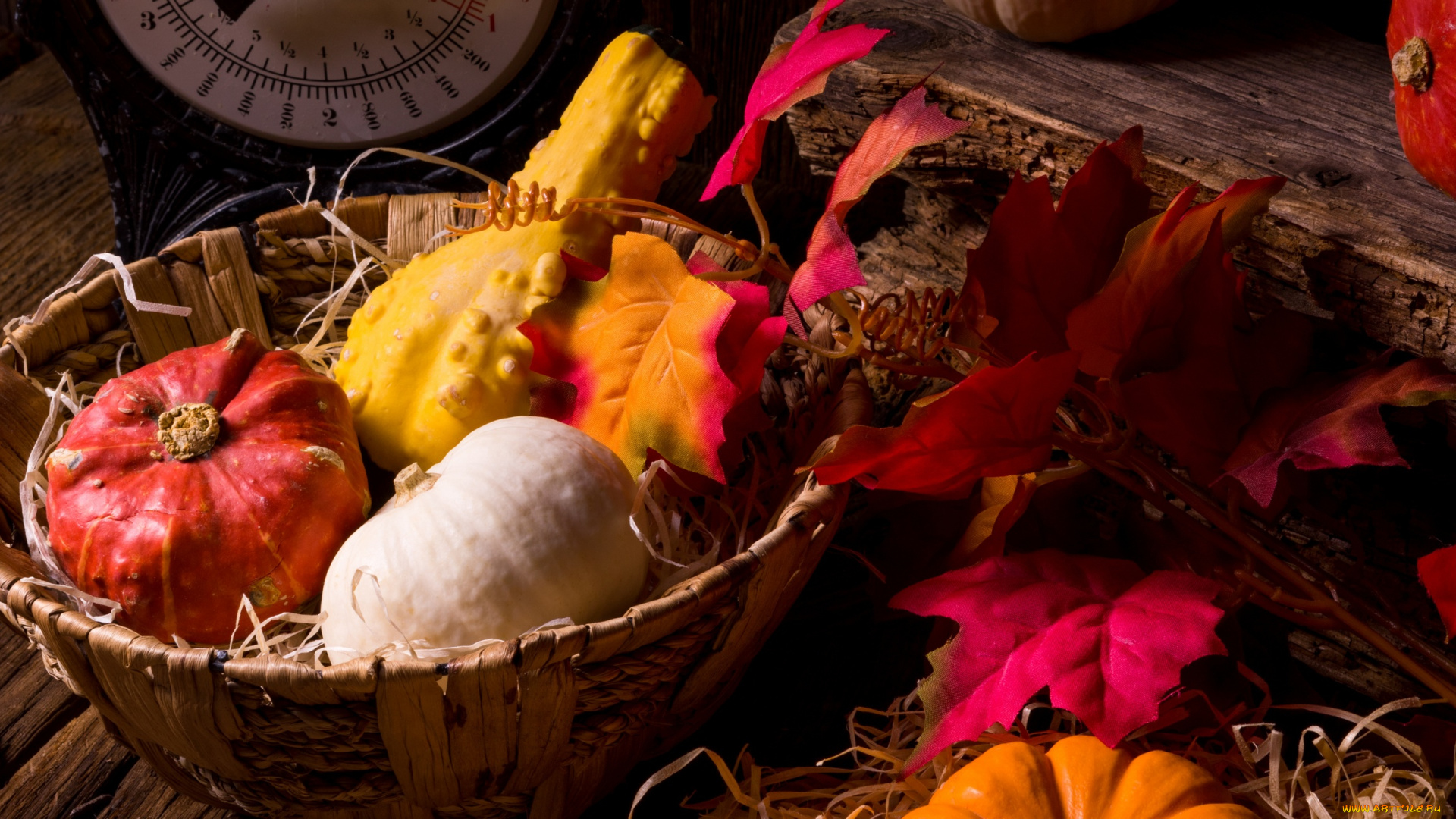 еда, тыква, дары, осени, листья, корзина