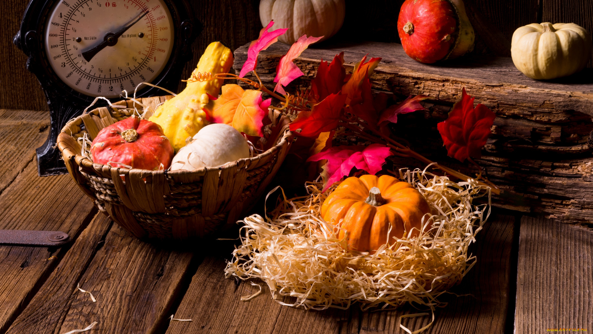 еда, тыква, дары, осени, листья, корзина
