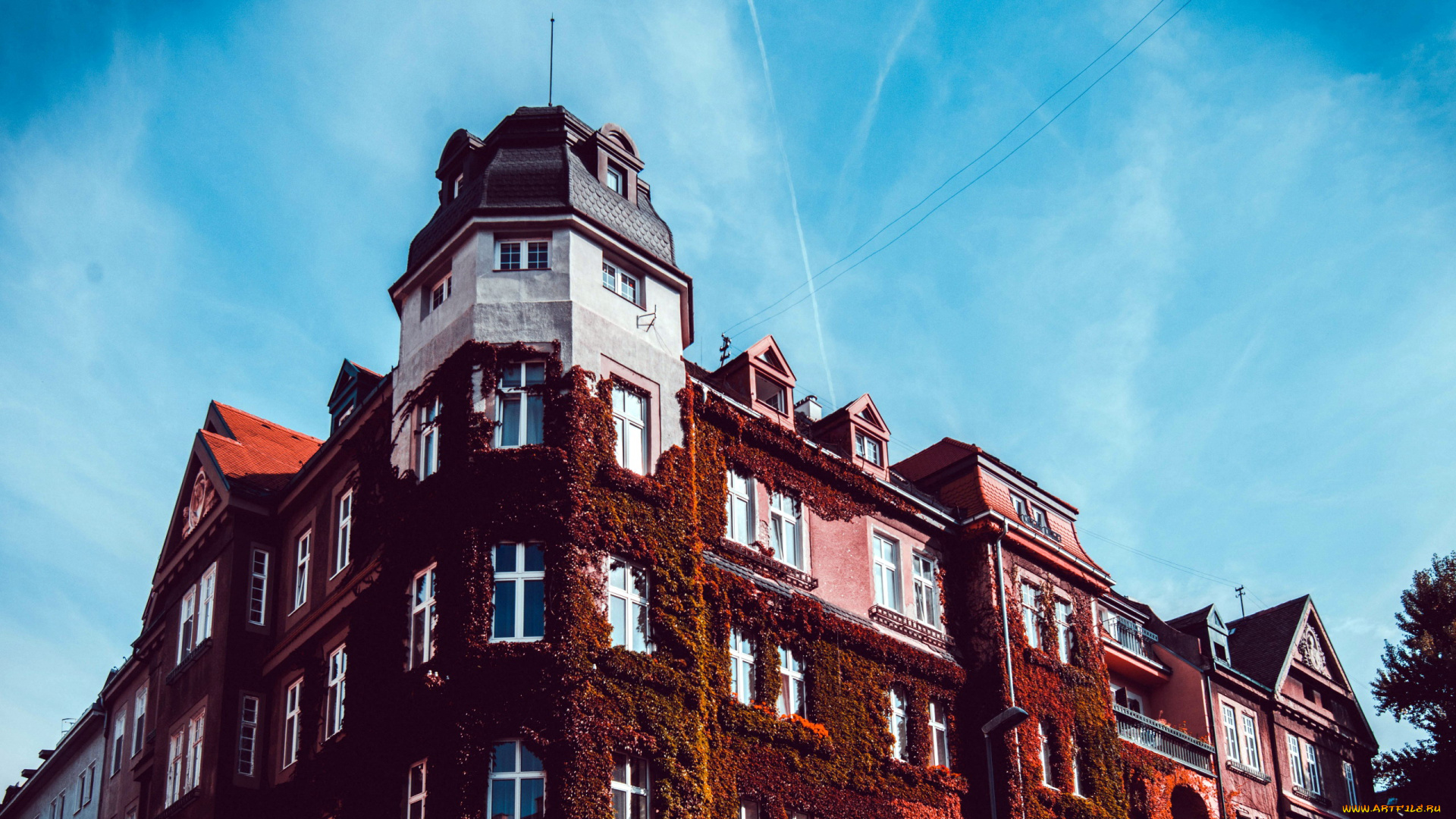 города, -, здания, , дома, плющ, башня, здание