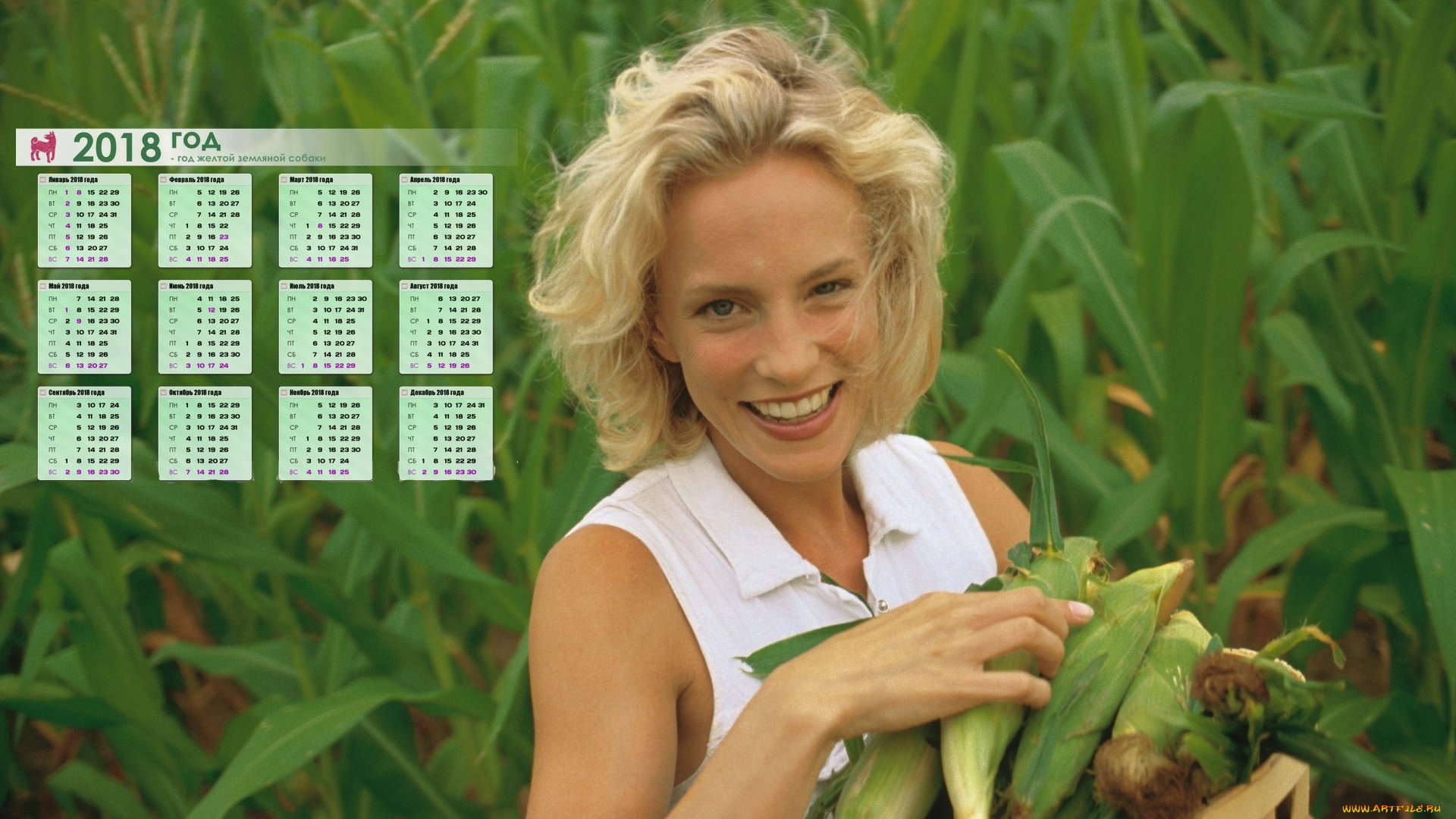календари, девушки, кукуруза, улыбка, взгляд